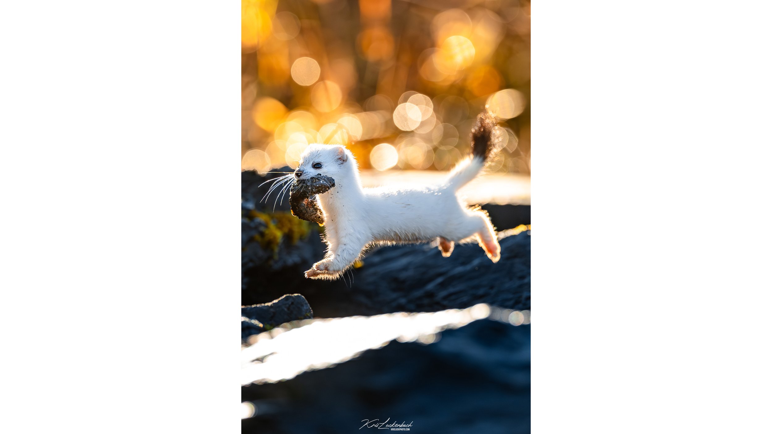 339A1919-Edit-2.jpg