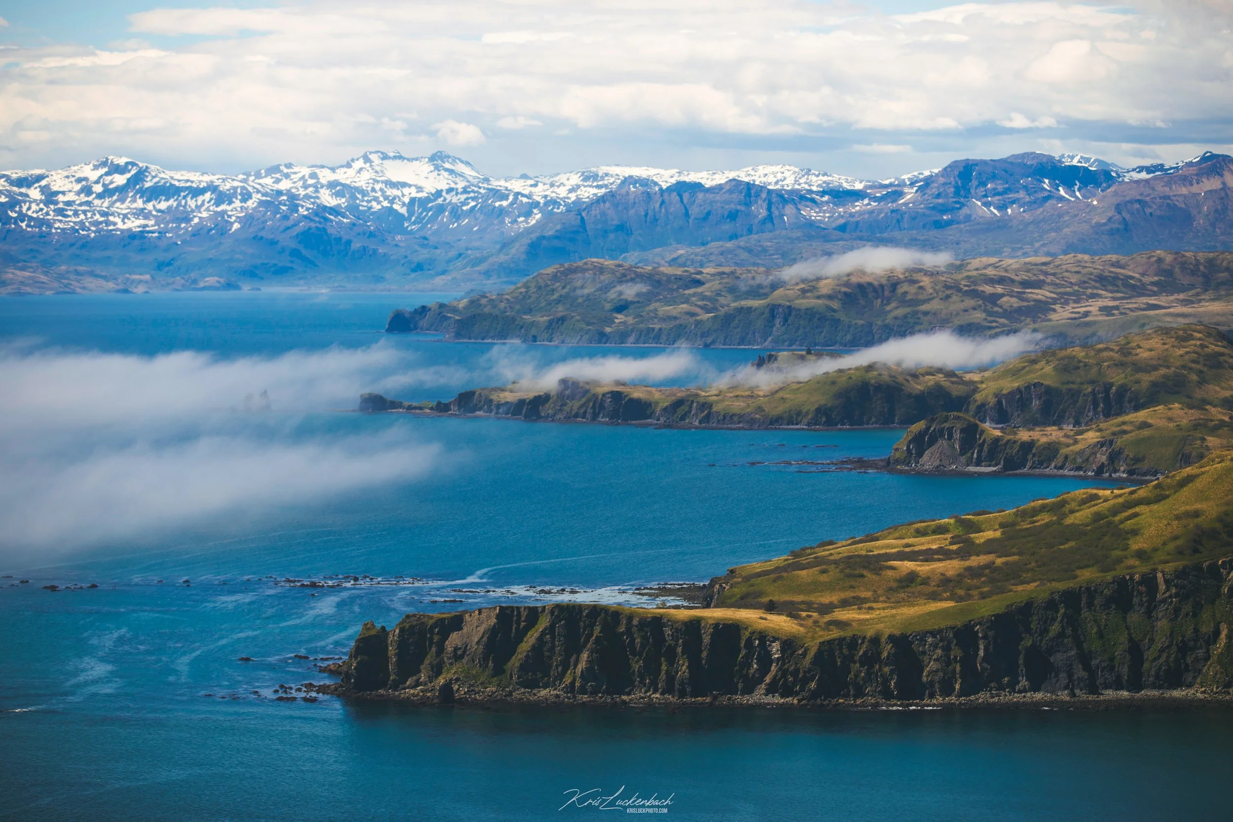 All Signs Point to Kodiak.jpg