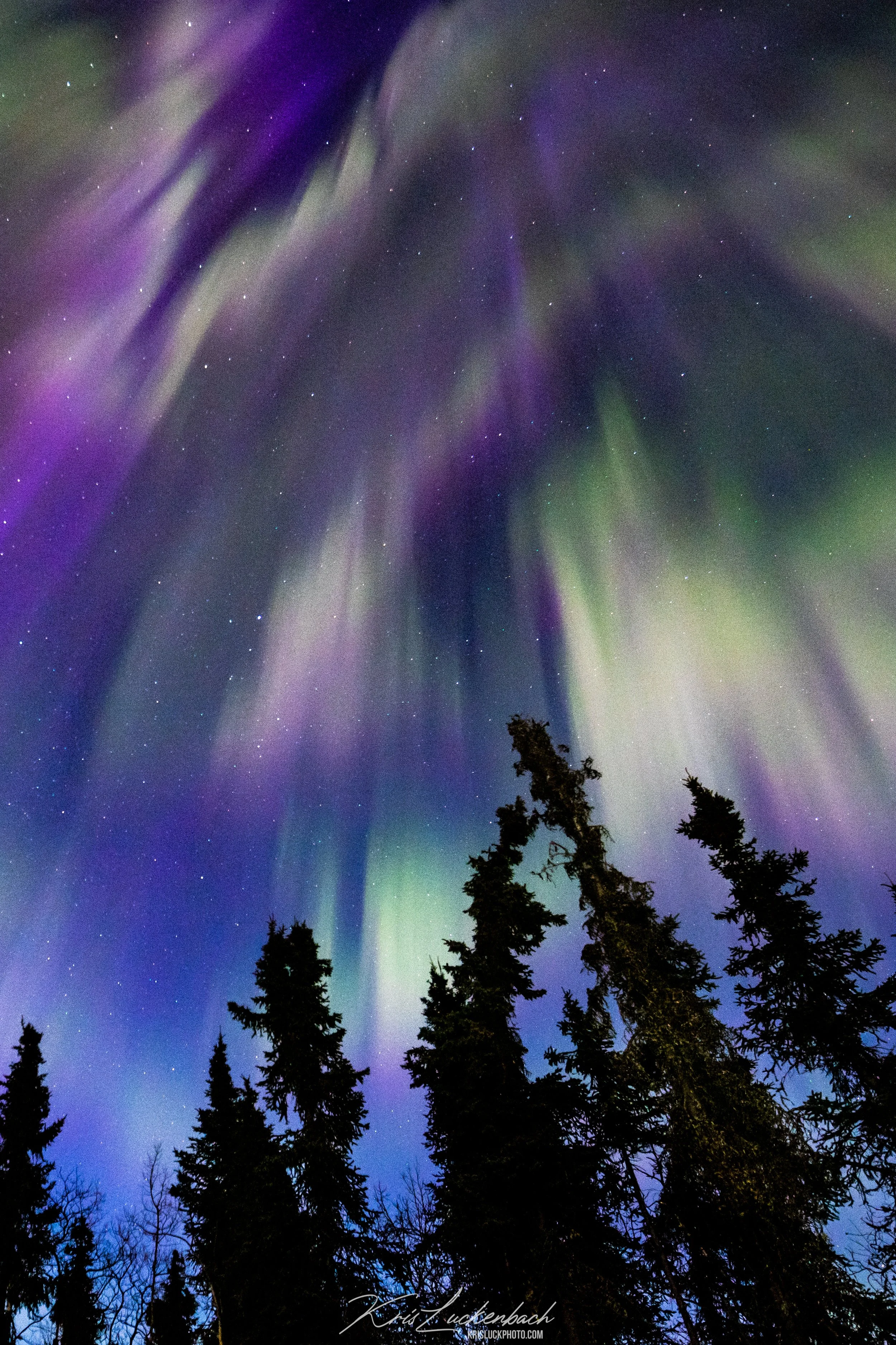 The Northern Lights.jpg