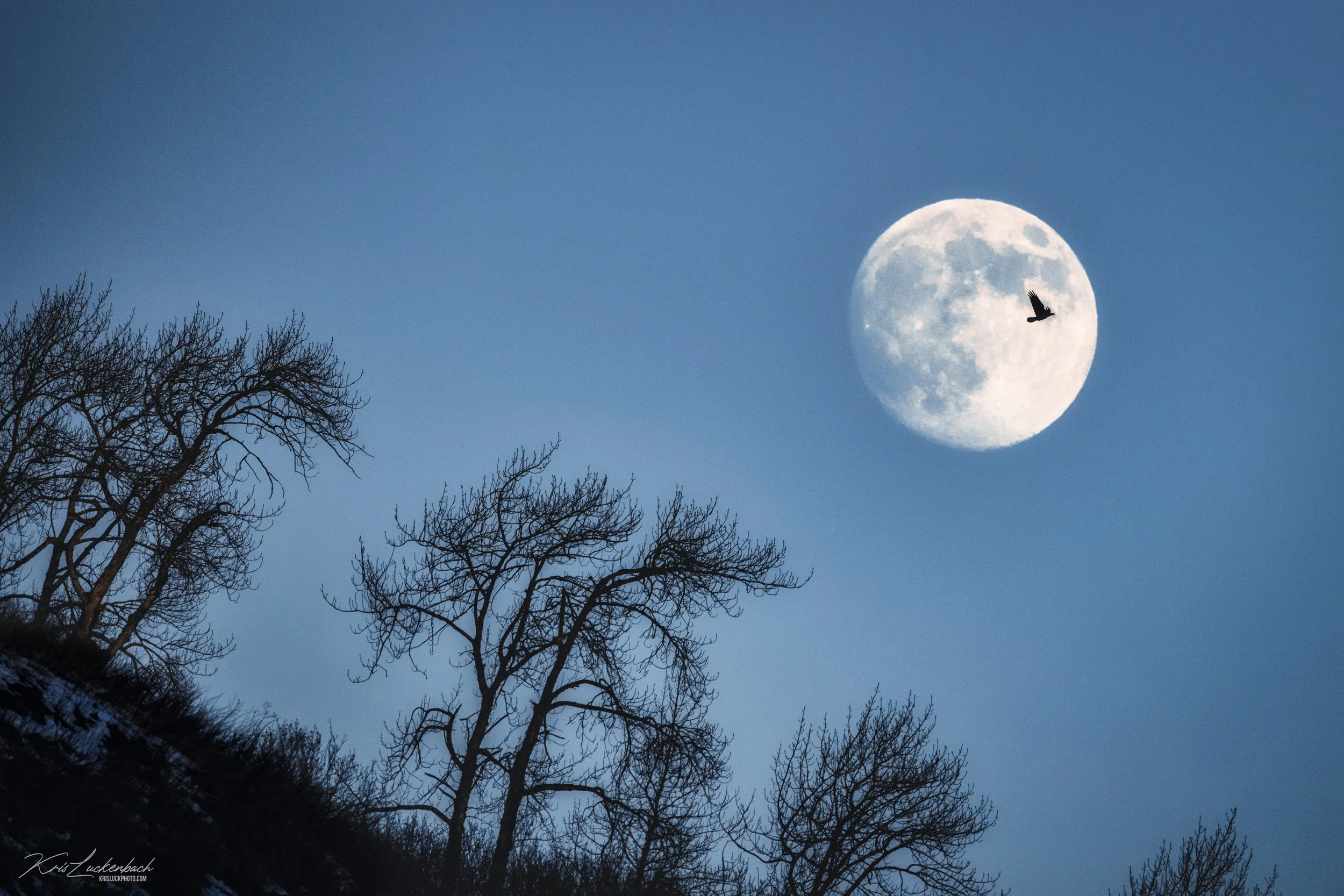 The Eagle and the Moon.jpg