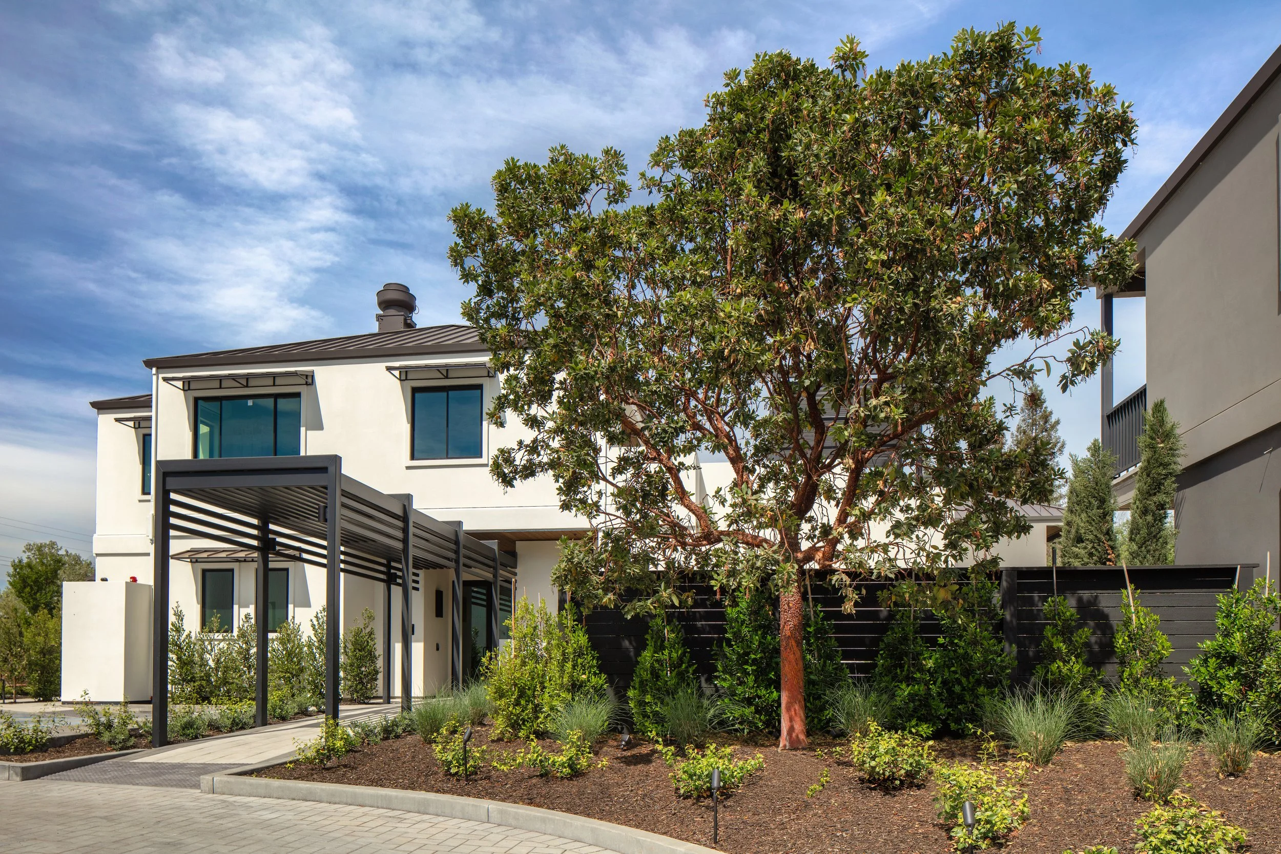 DUCHAMP 20263968.jpg