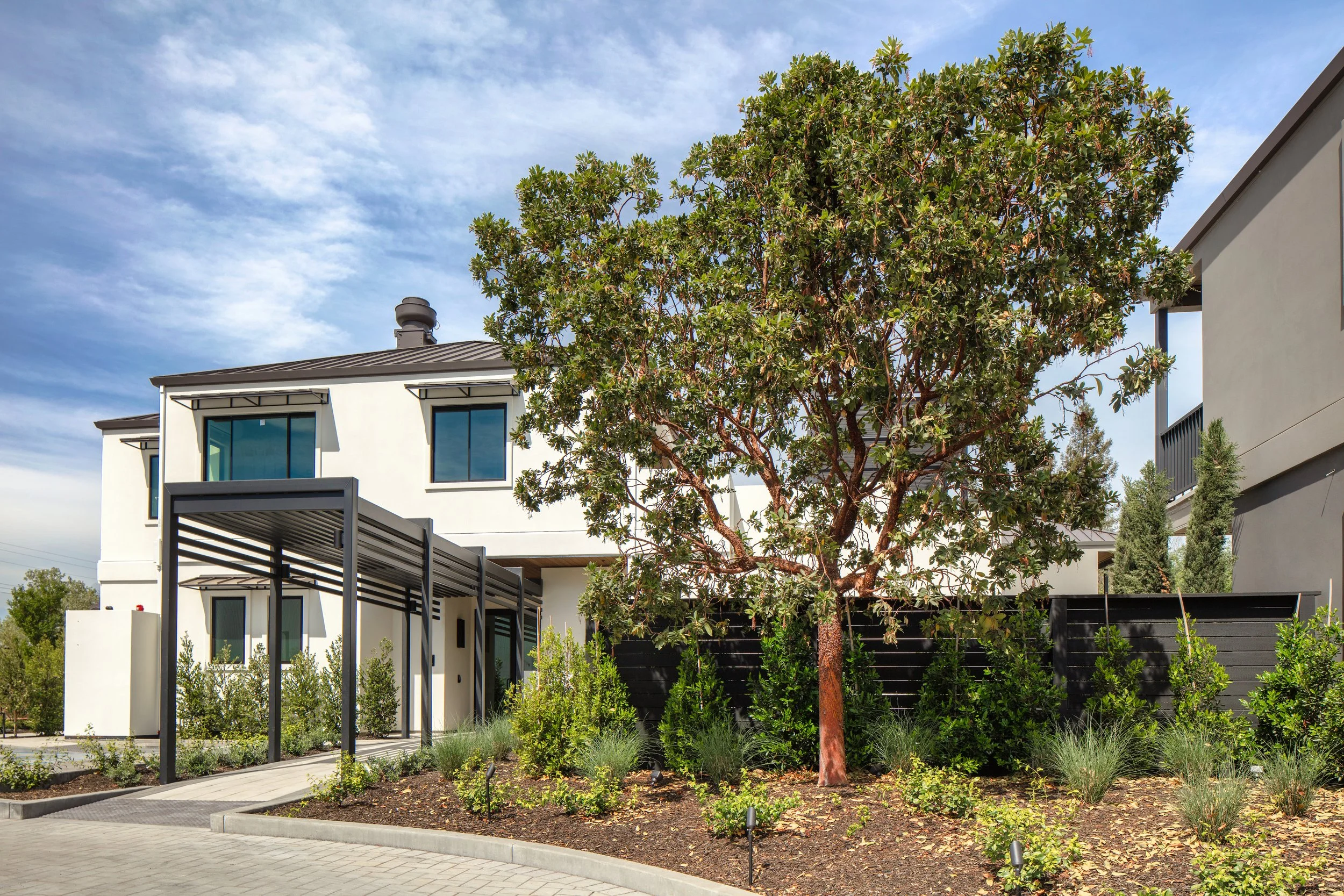 DUCHAMP 20263968.jpg