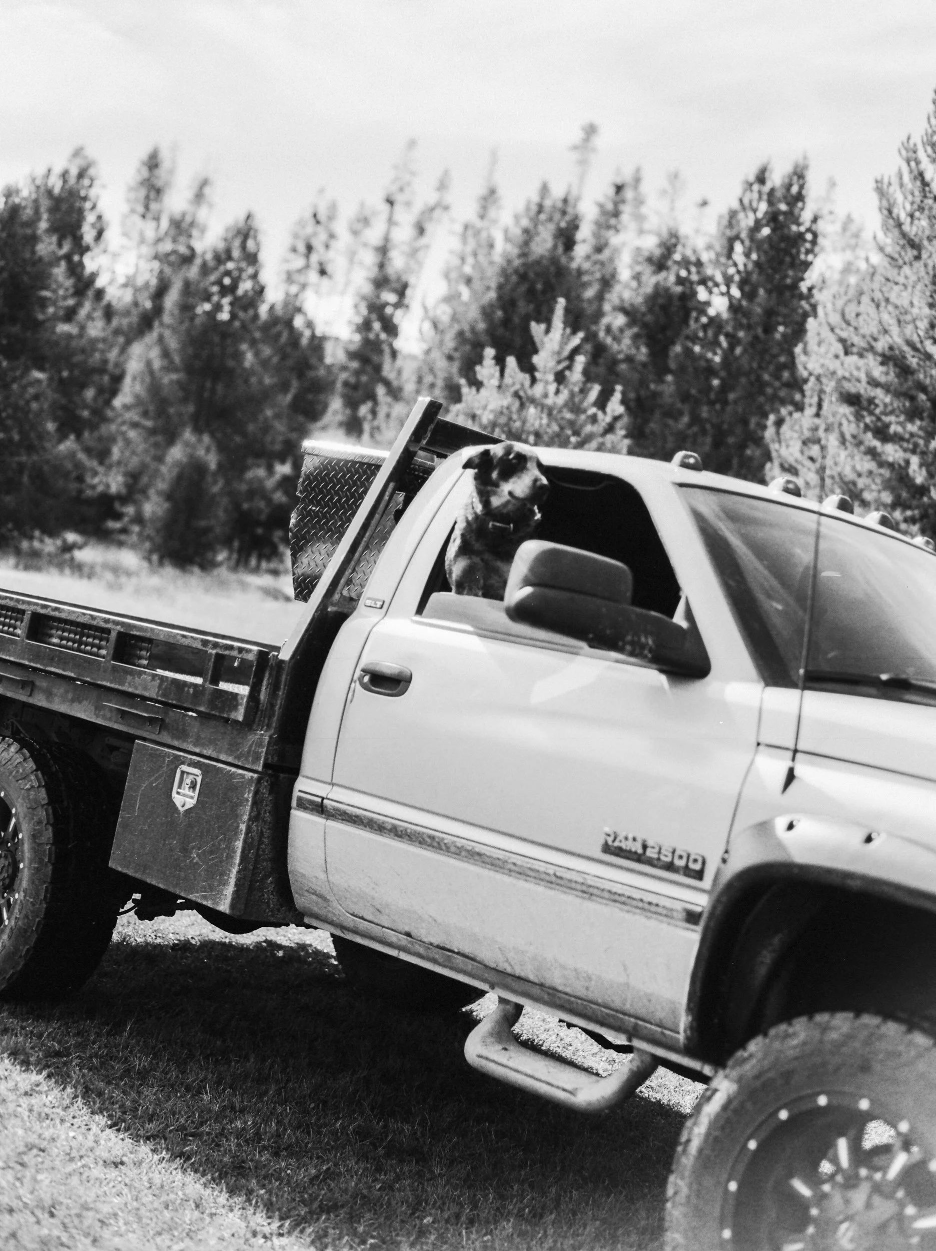 sun-valley-stanley-idaho-wedding-film-photographer-sarah-morrill-2-39.jpg
