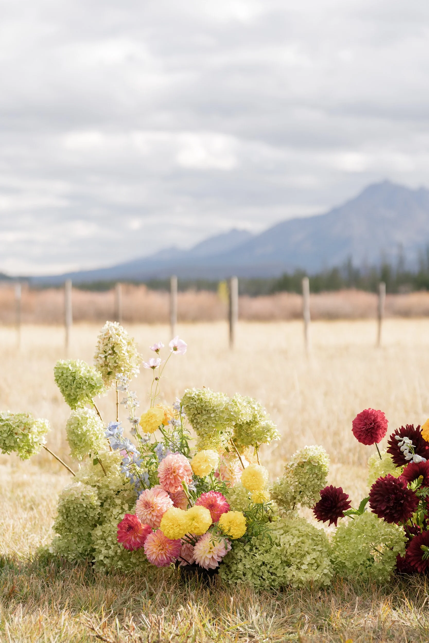 sun-valley-stanley-idaho-wedding-film-photographer-sarah-morrill-01685.jpg