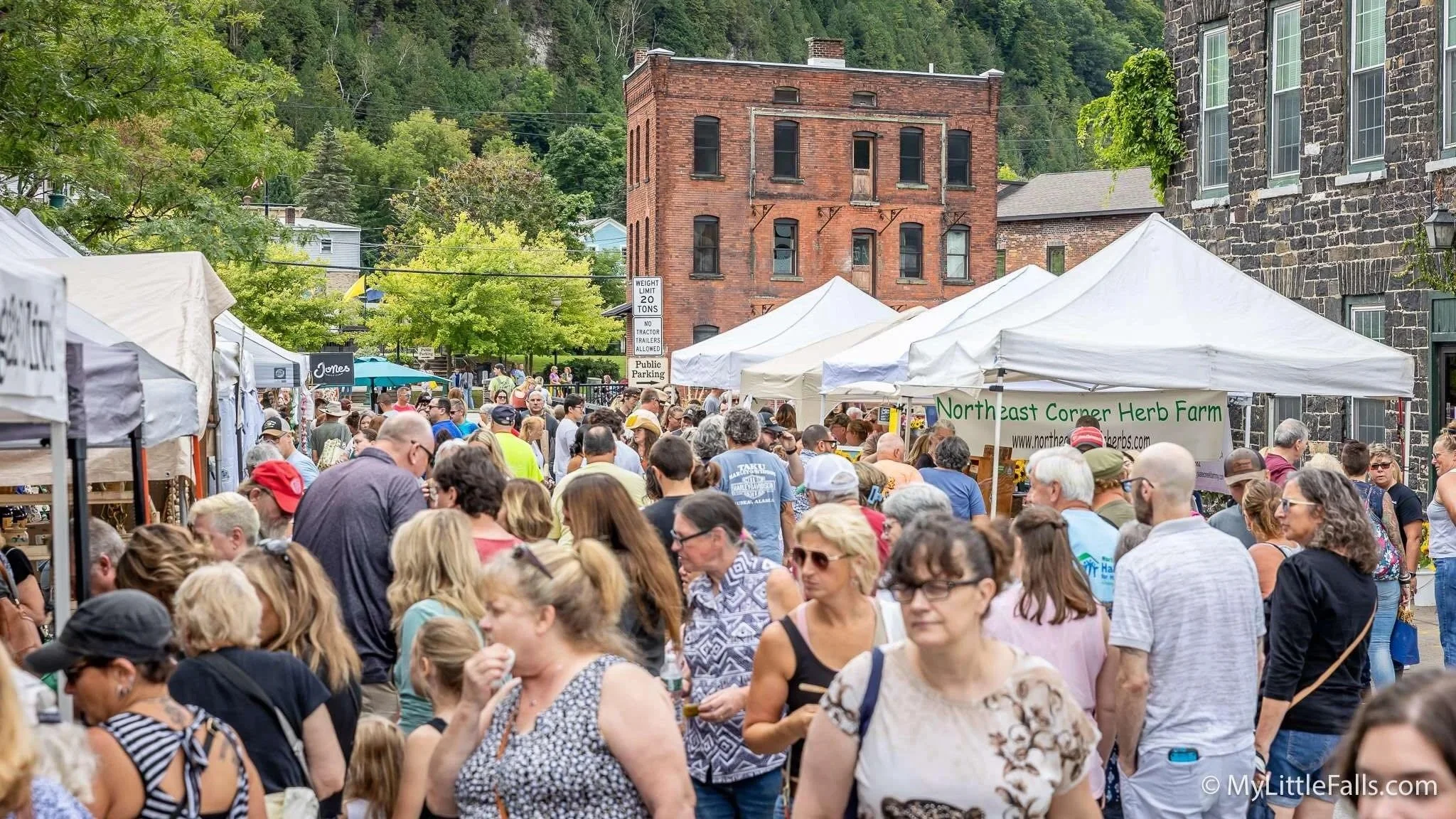 Pop-Up: Mohawk Valley Garlic and Herb Festival