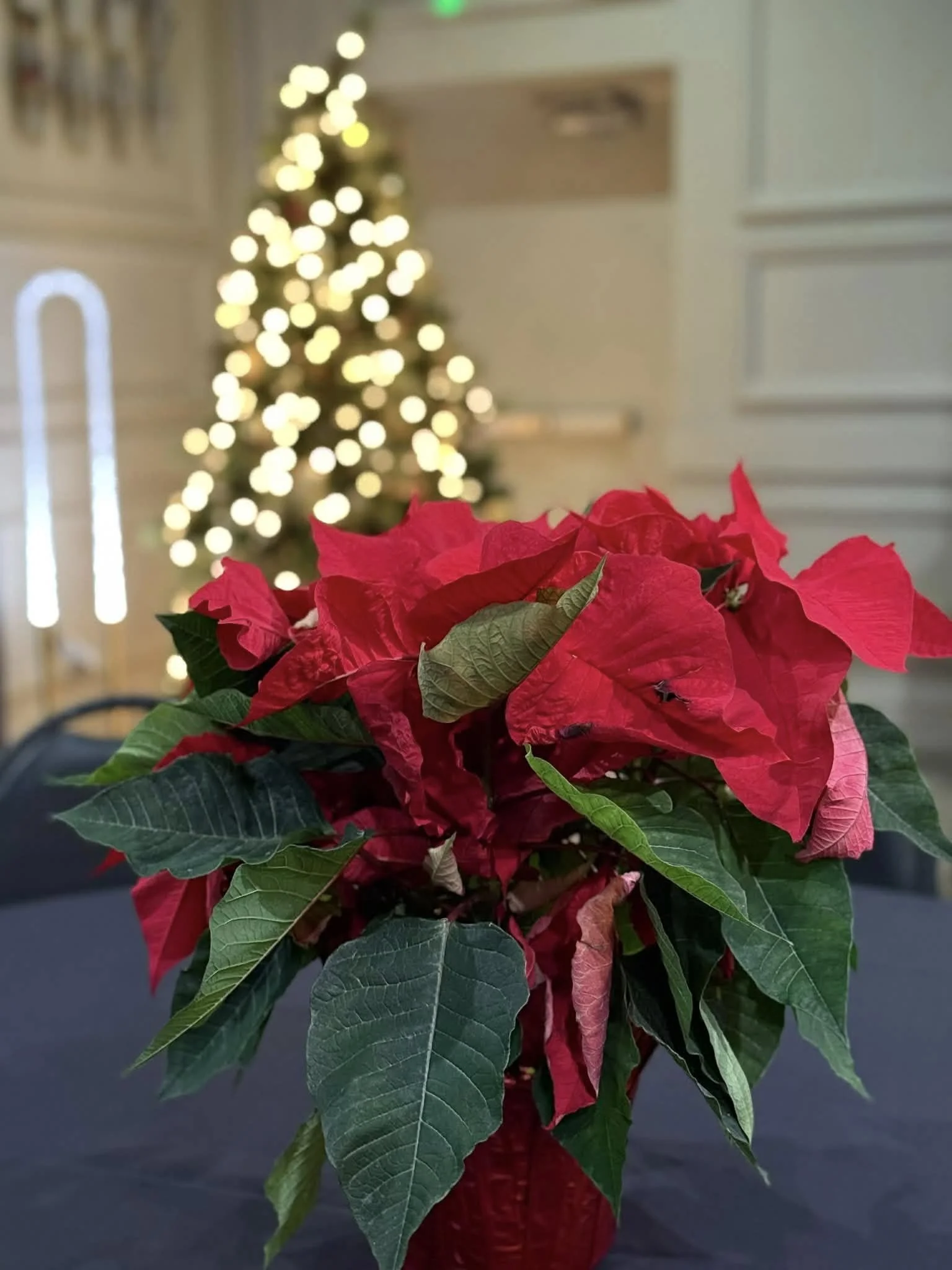 beautiful holiday decor at holiday celebration in green bay