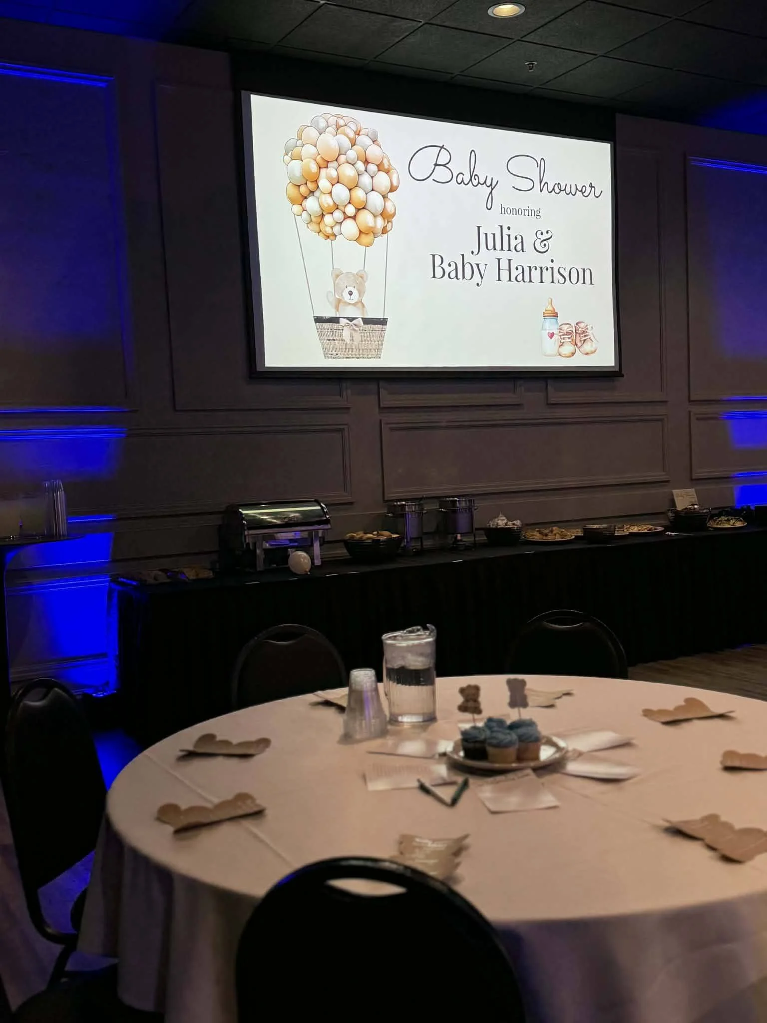 Baby shower venue in Green Bay located next to Lambeau Field at Stadium View Event Halls.