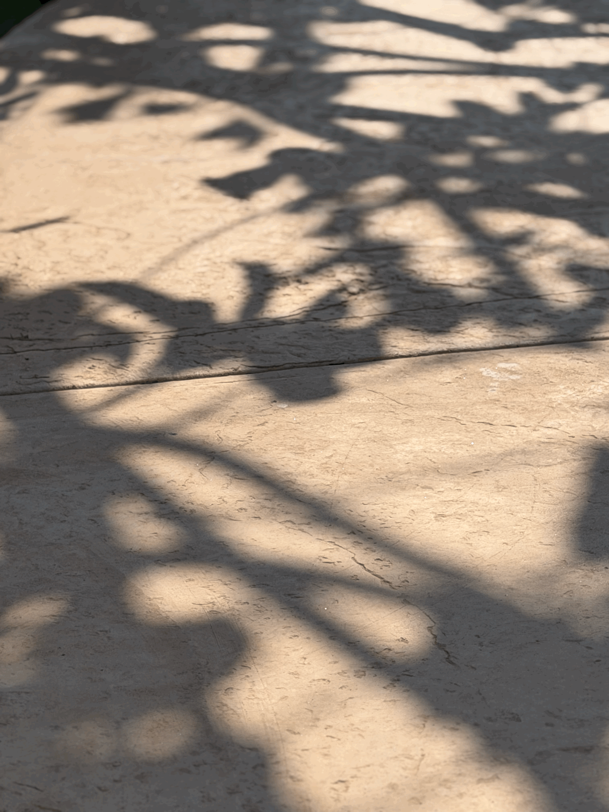 Krisen bewältigen: Ein Leitfaden für schwierige Zeiten