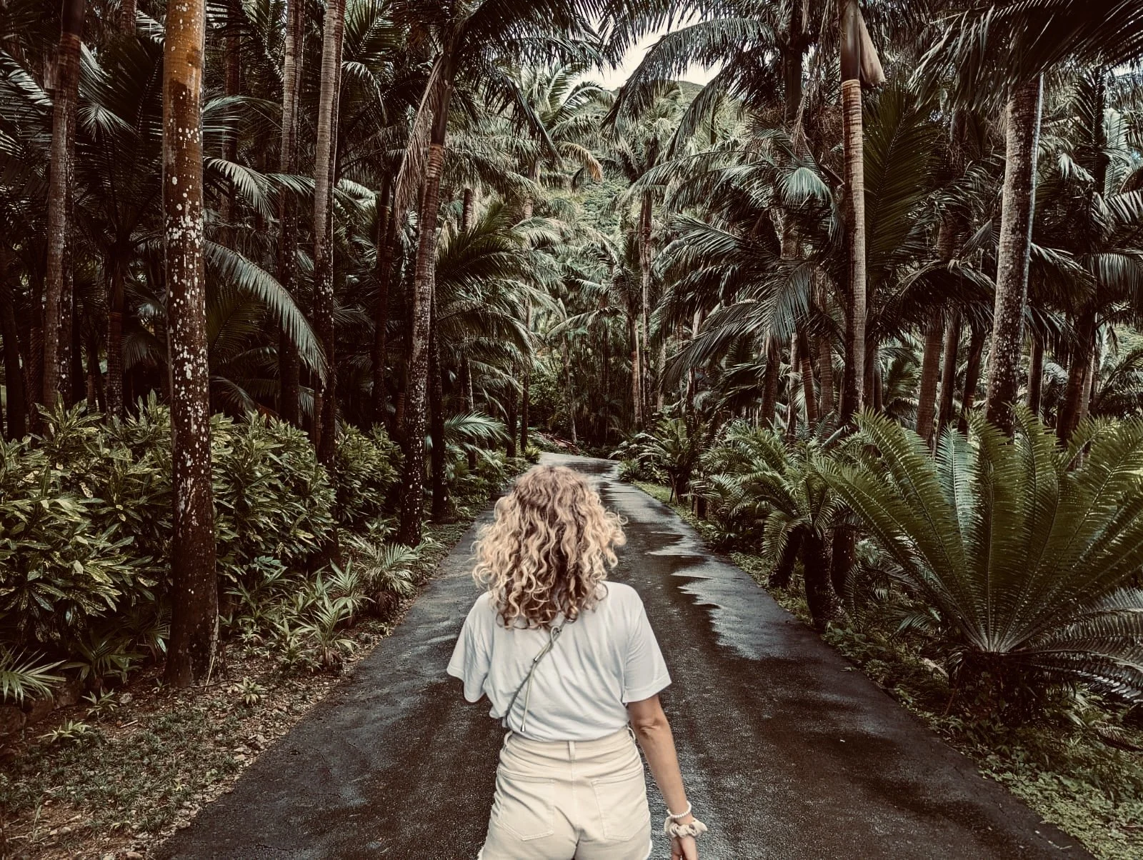 Eine Frau mit lockigem Haar läuft auf einem schattigen Weg durch einen Dschungel voller Palmen und anderer tropischer Pflanzen.
