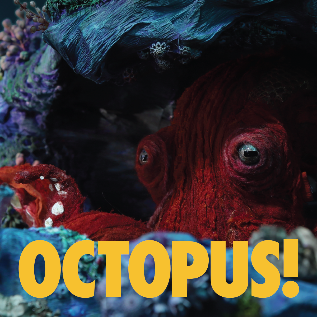 Octopus!