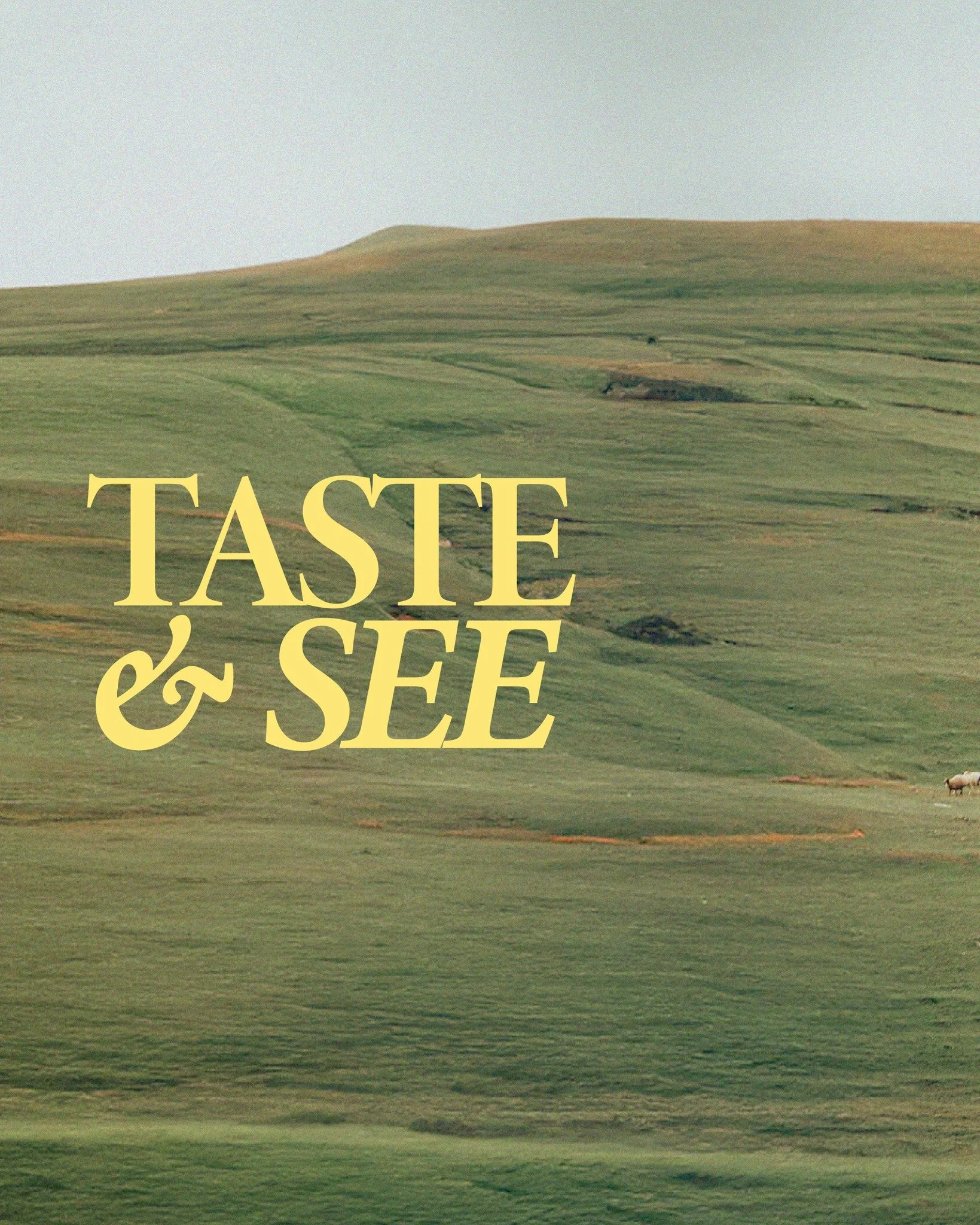 This new series begins tomorrow as we kick off the Seek season together! 

"Oh, taste and see that the LORD is good! Blessed is the man who takes refuge in him!" Psalm 34:8