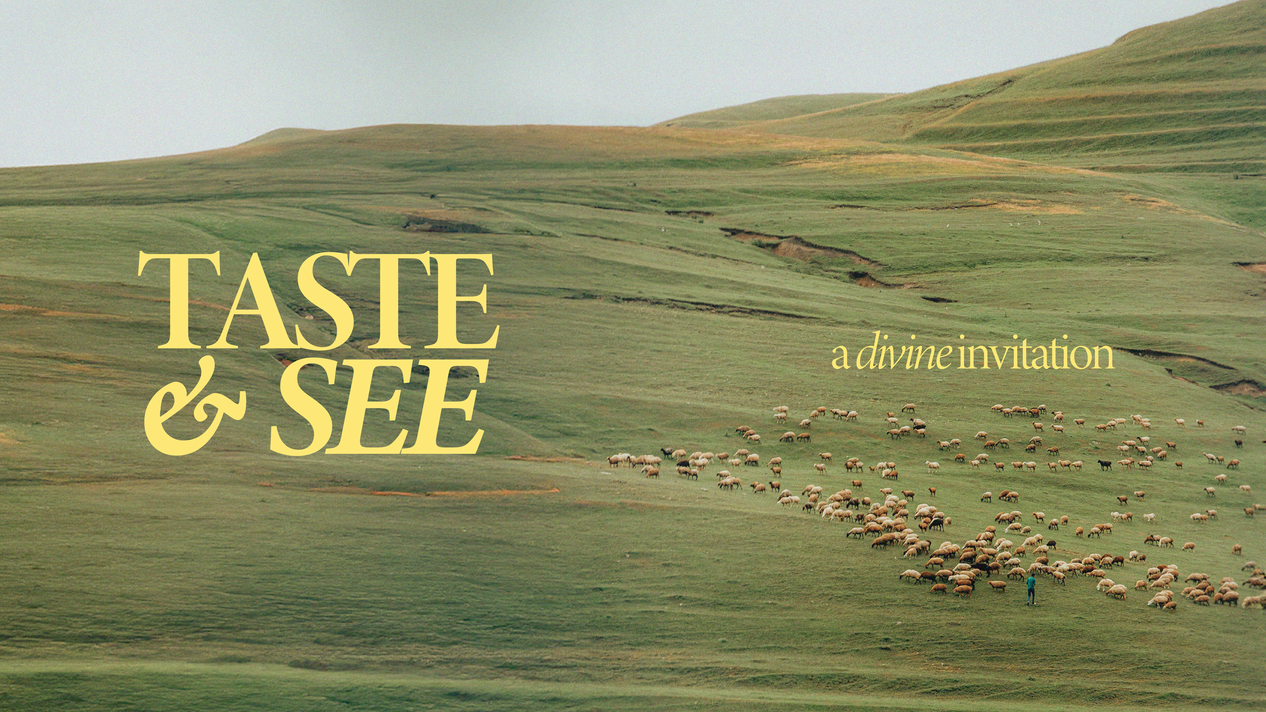Taste &amp; See | A Divine Invitation