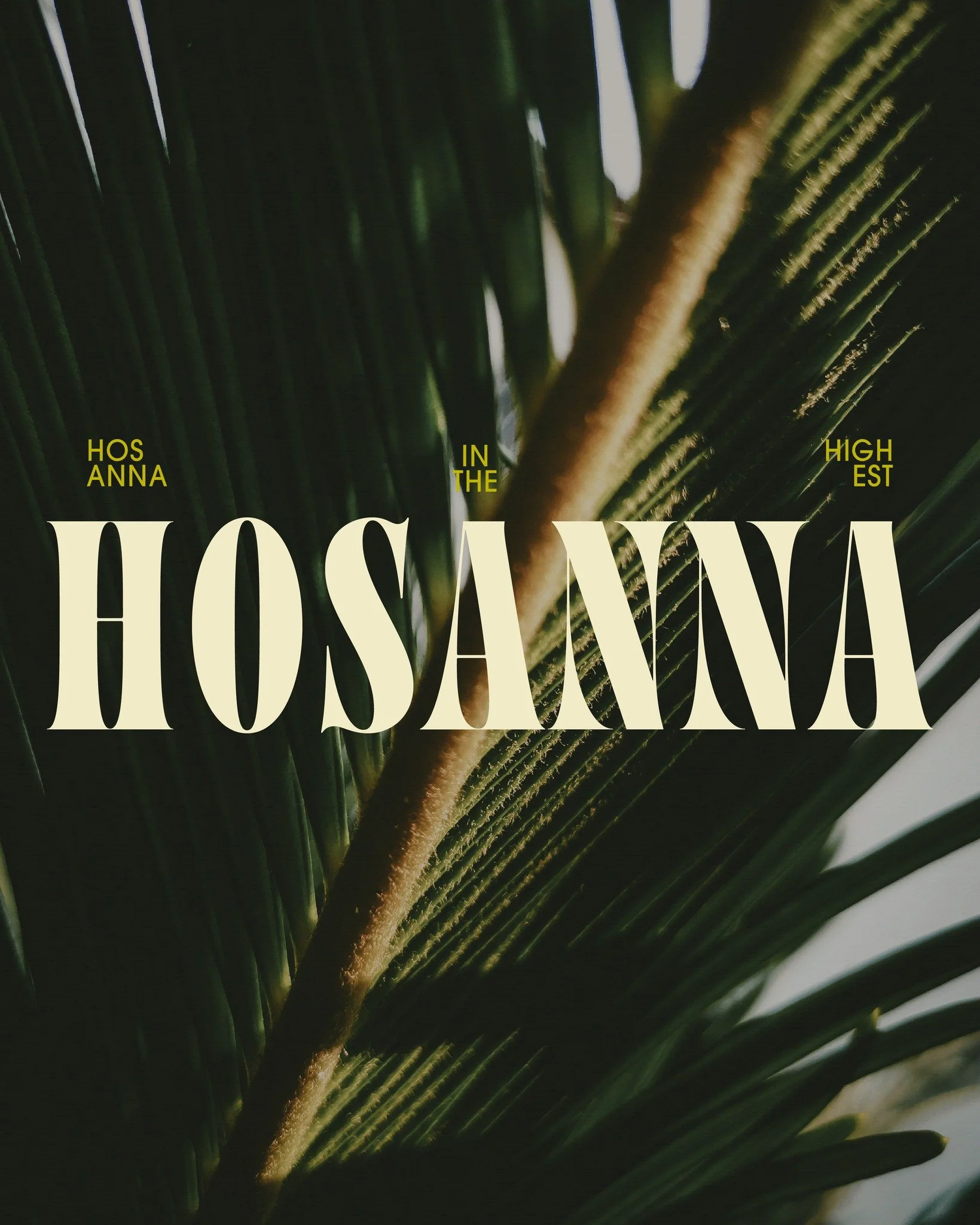 "A massive crowd spread their cloaks on the road, while others cut branches from the trees and spread them on the road. The crowds that went ahead of Him and those that followed were shouting: &ldquo;Hosanna to the Son of David!&rdquo; &ldquo;Bl