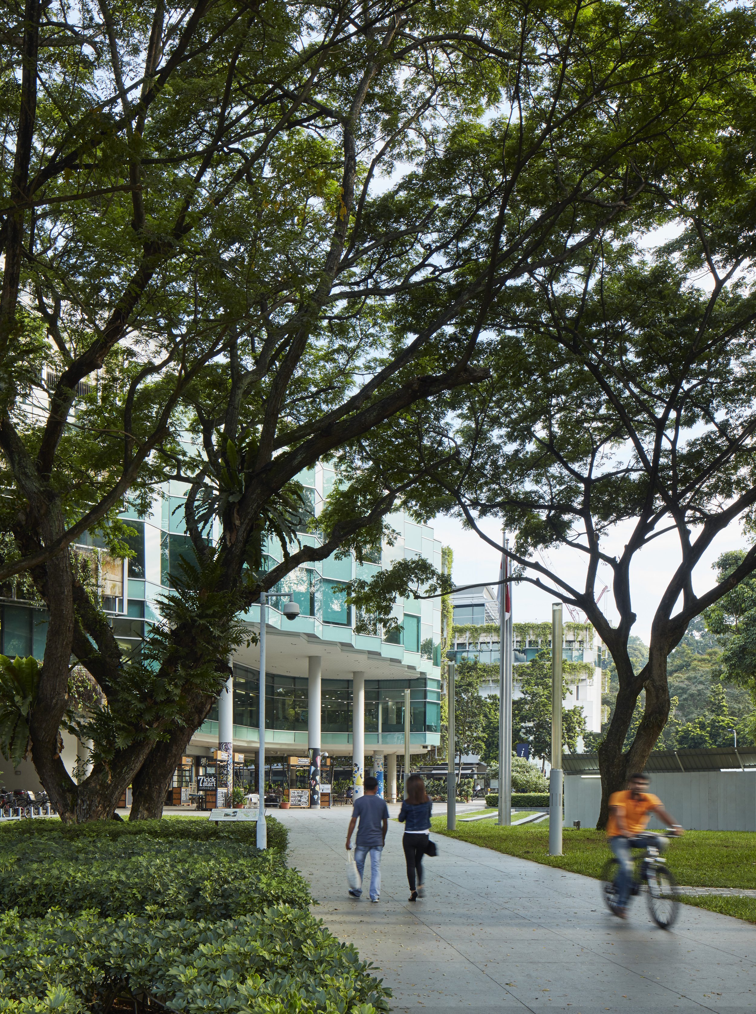 UNIVERSITY IN THE HISTORIC CENTRE OF SINGAPORE, Bras Basah arts and heritage district.
Singapore Management University. Architect with Edward Cullinan Architects.