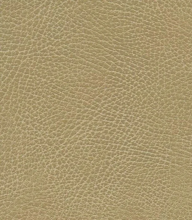 Buckskin UBS