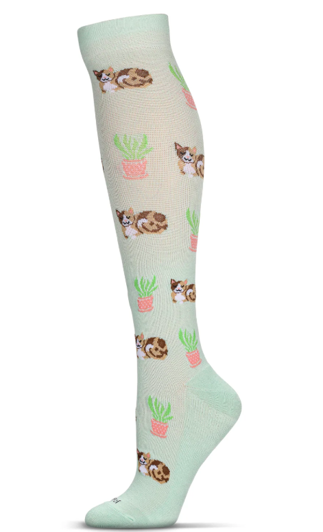 Catnap Mint.png