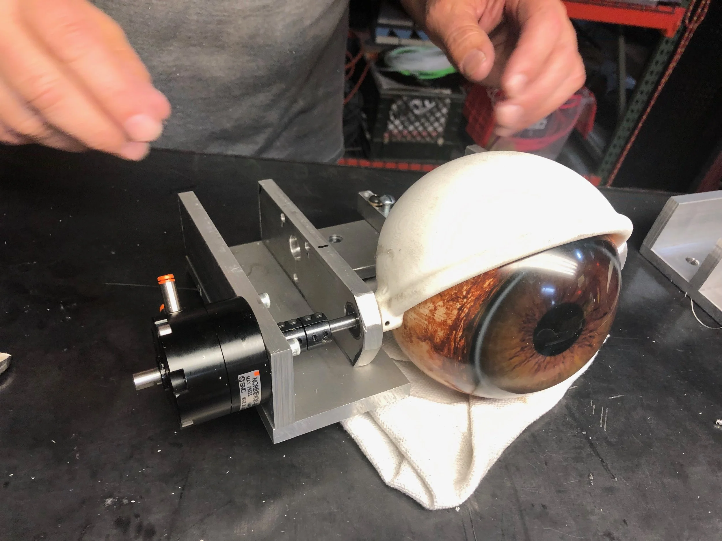 OVERSCALE, ANIMATRONIC EYEBALL