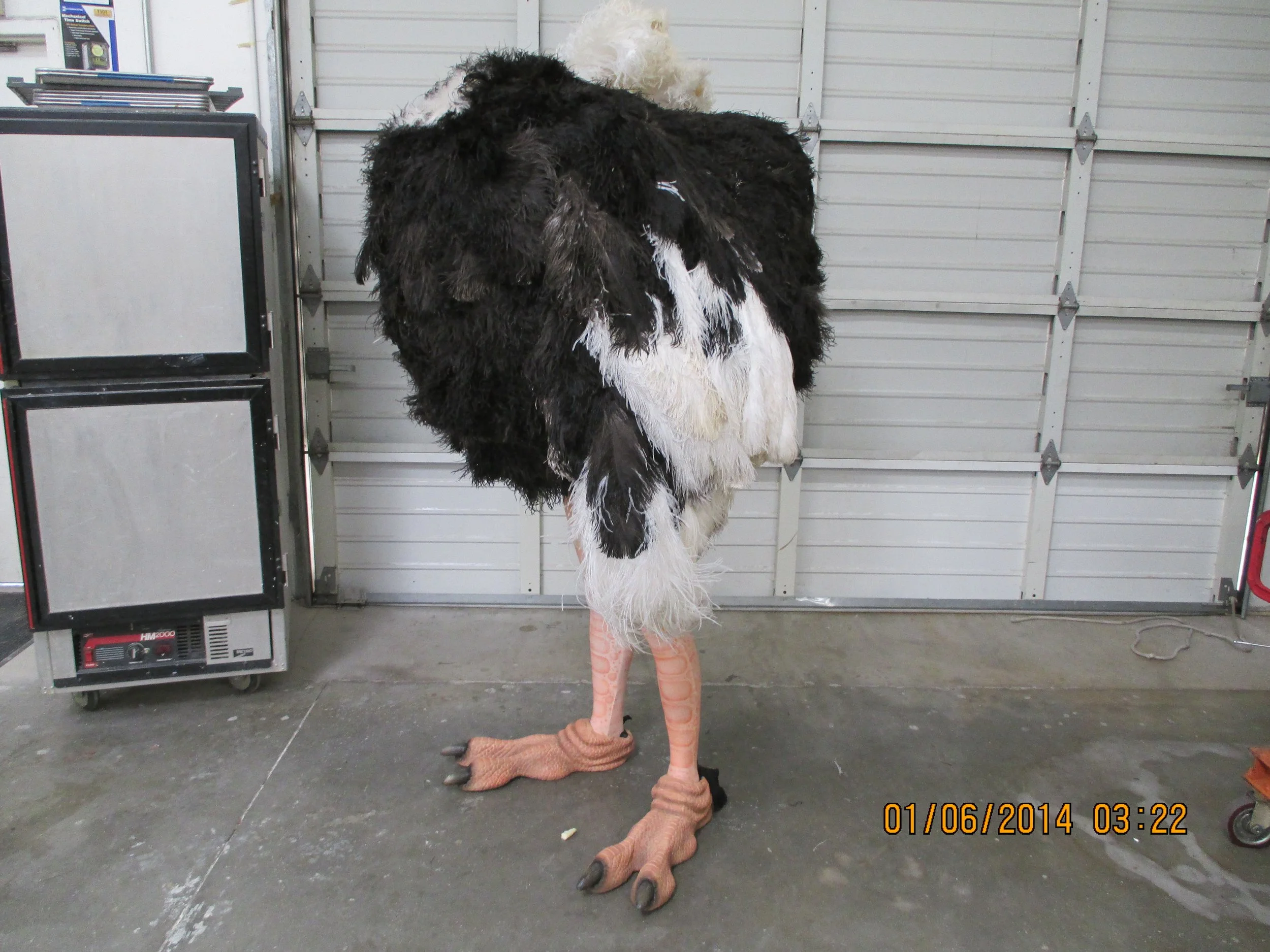 5776 ostrich suit side.JPG