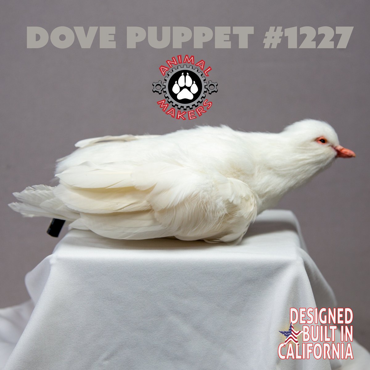 dove-puppet-1227-b__68256.jpg