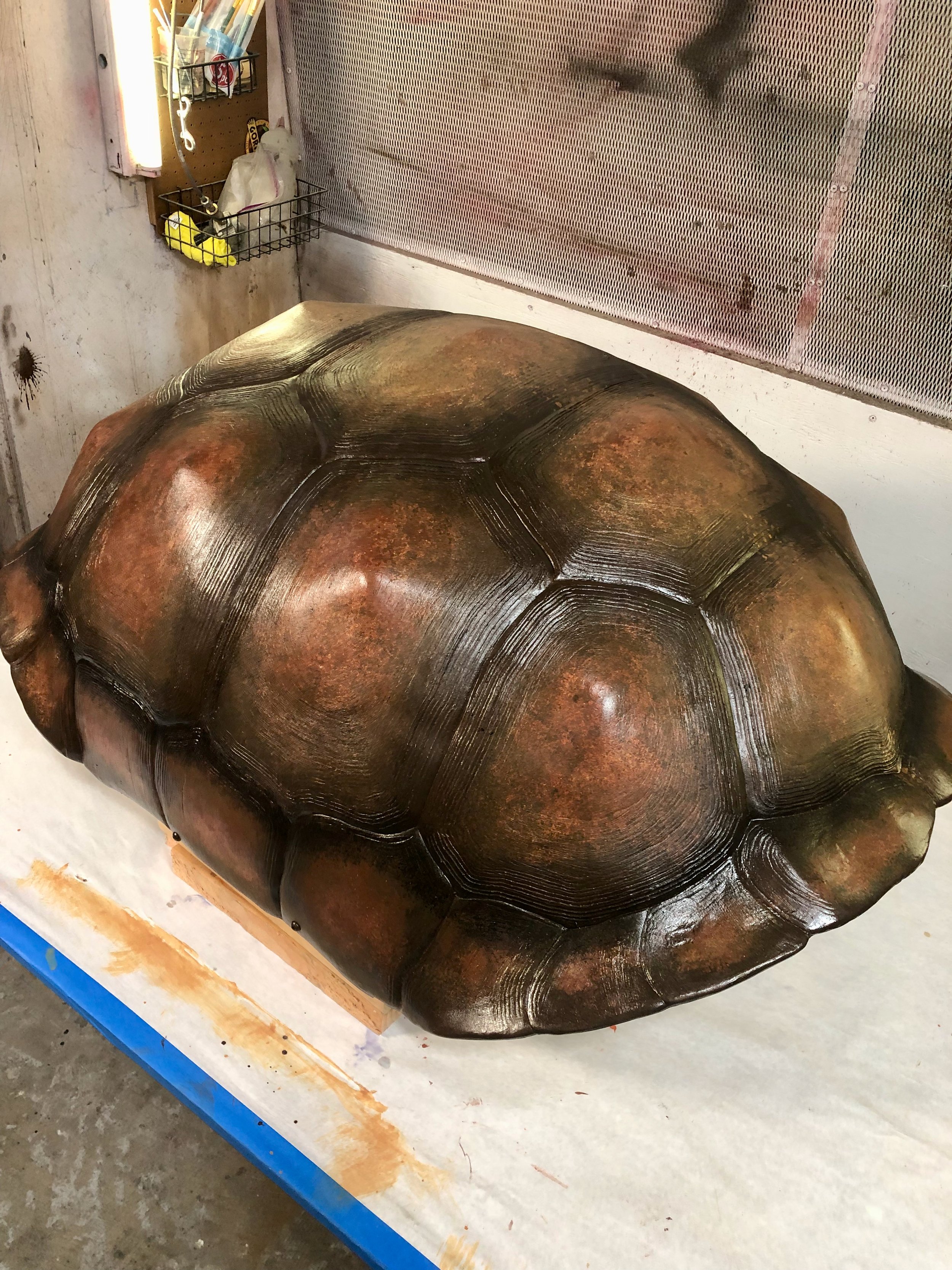 aldabra-tortoise-shell-finished - 1.jpeg