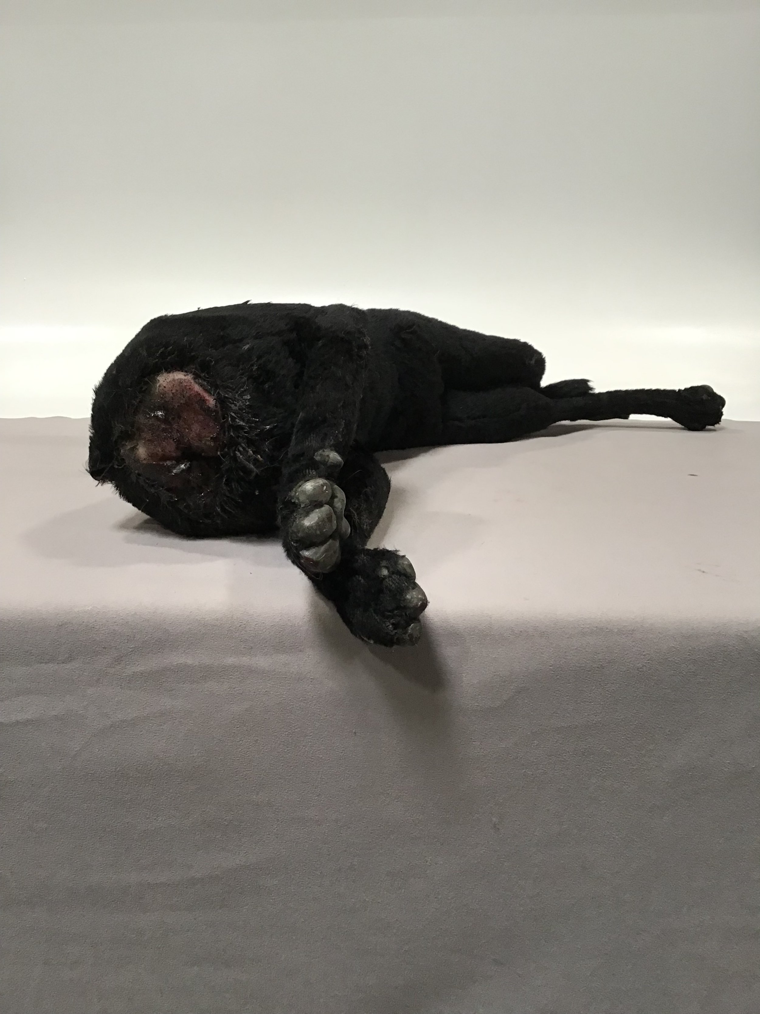 IMG_1379 2.jpeg