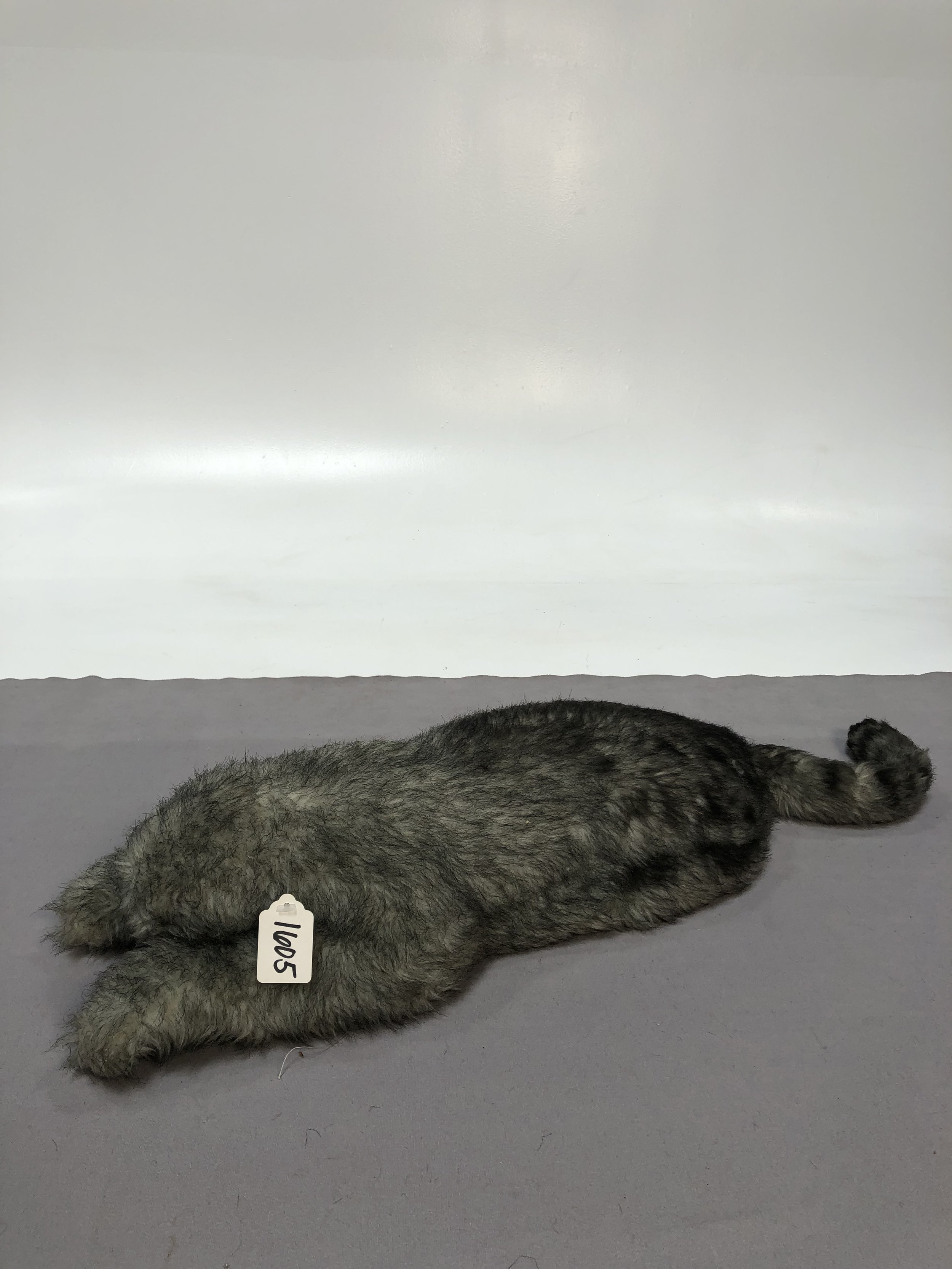 IMG_1574.jpeg