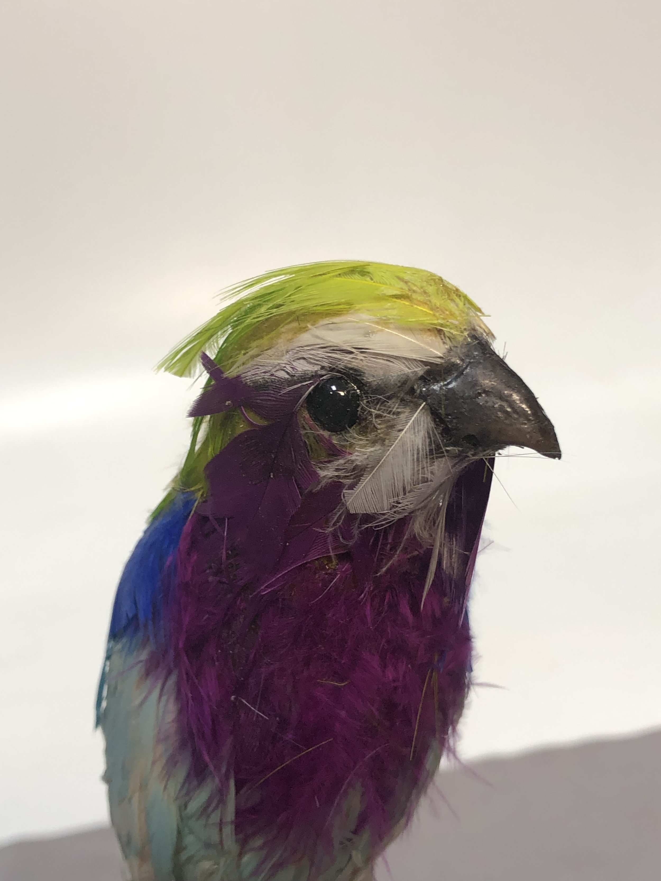 Fake Bird Finch Replica