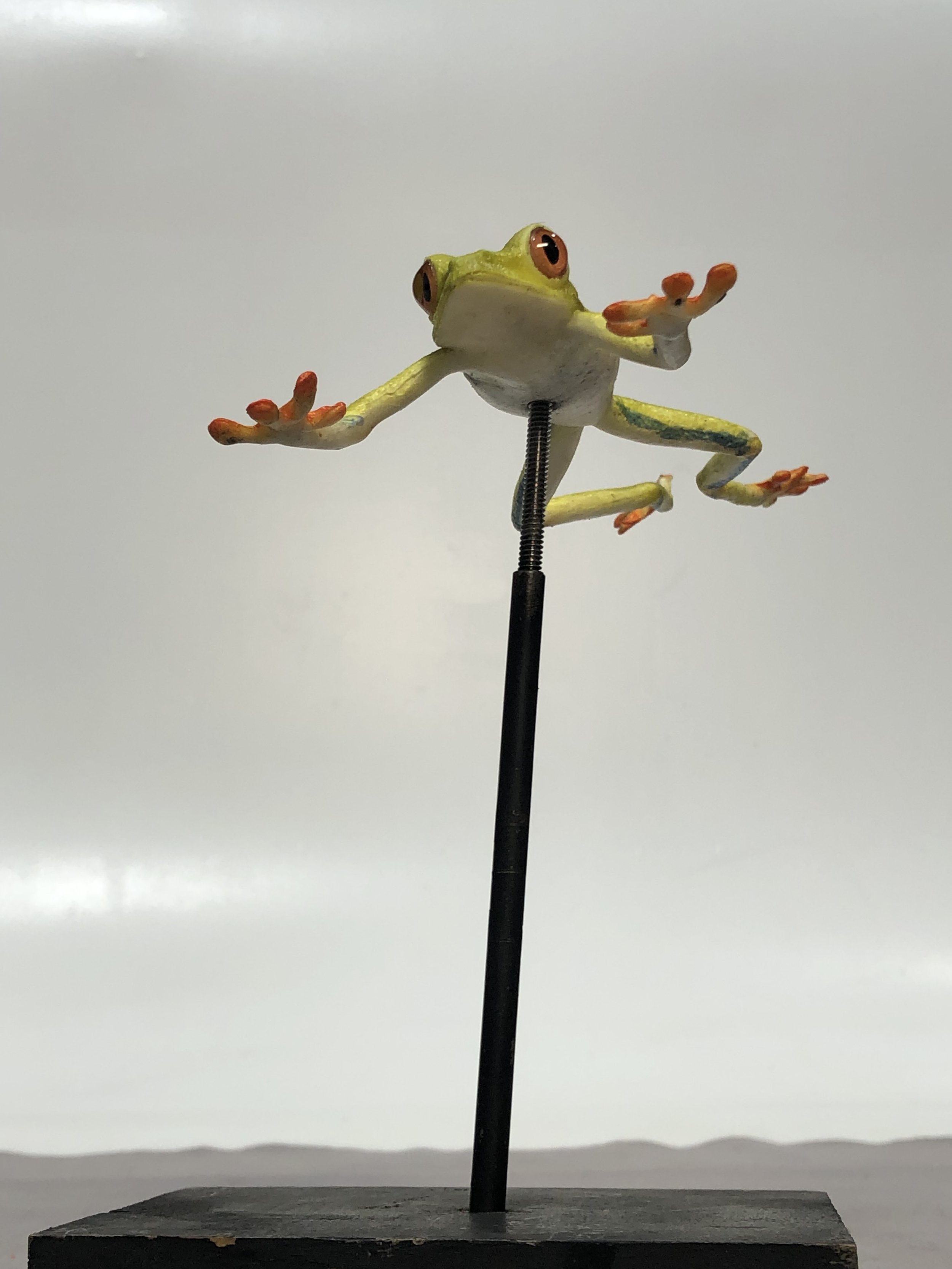 IMG_2538.jpeg