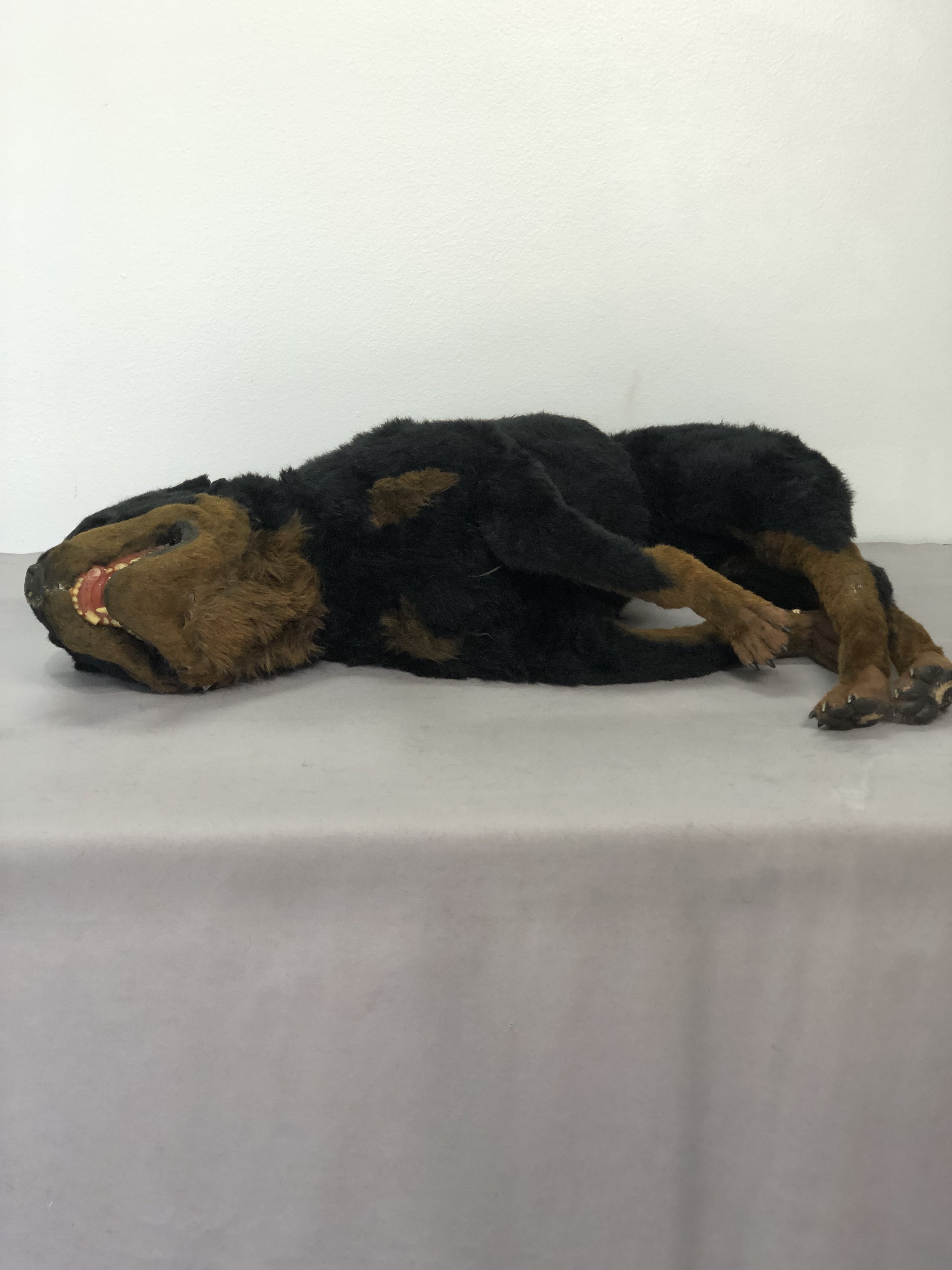 IMG_4089.jpeg