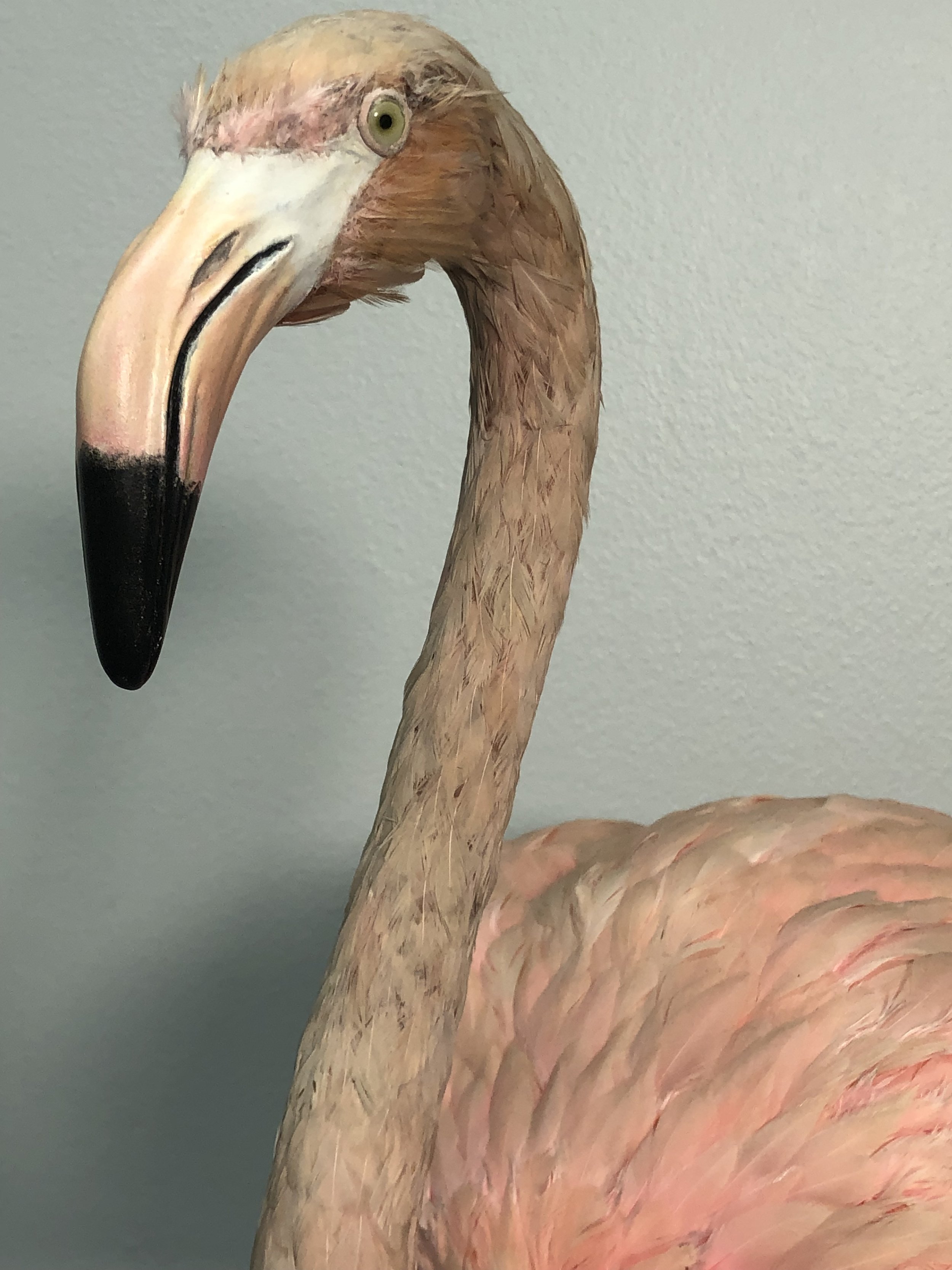 IMG_4209.jpeg