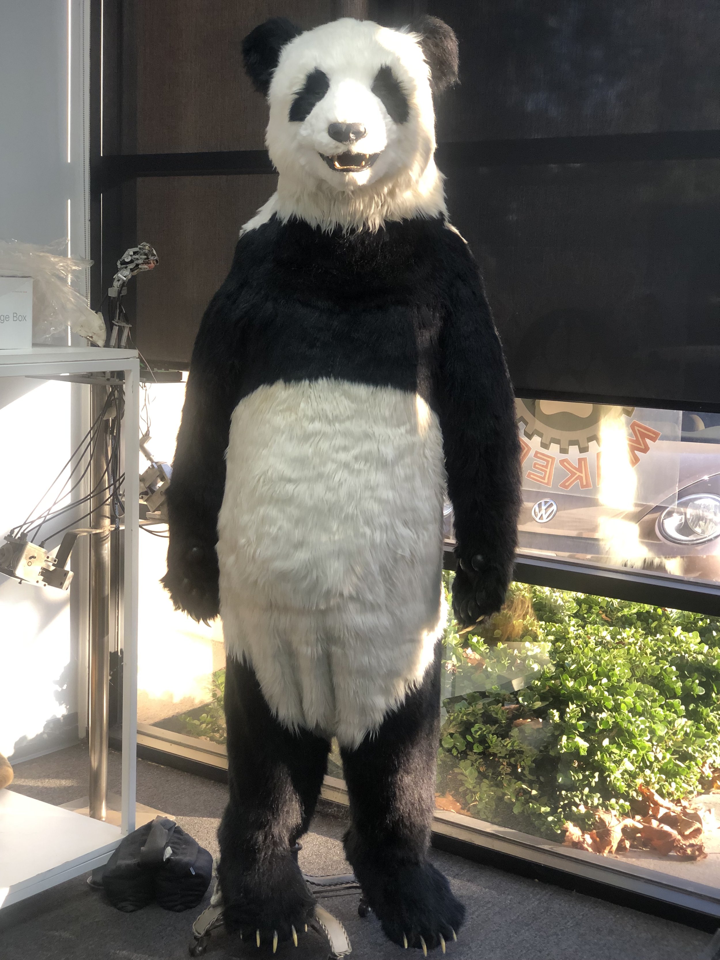 IMG_4303.jpeg