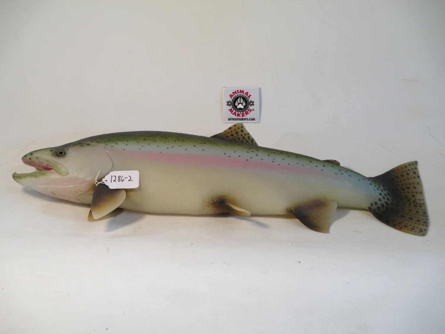 Realistic fake animal props — ANIMAL MAKERS