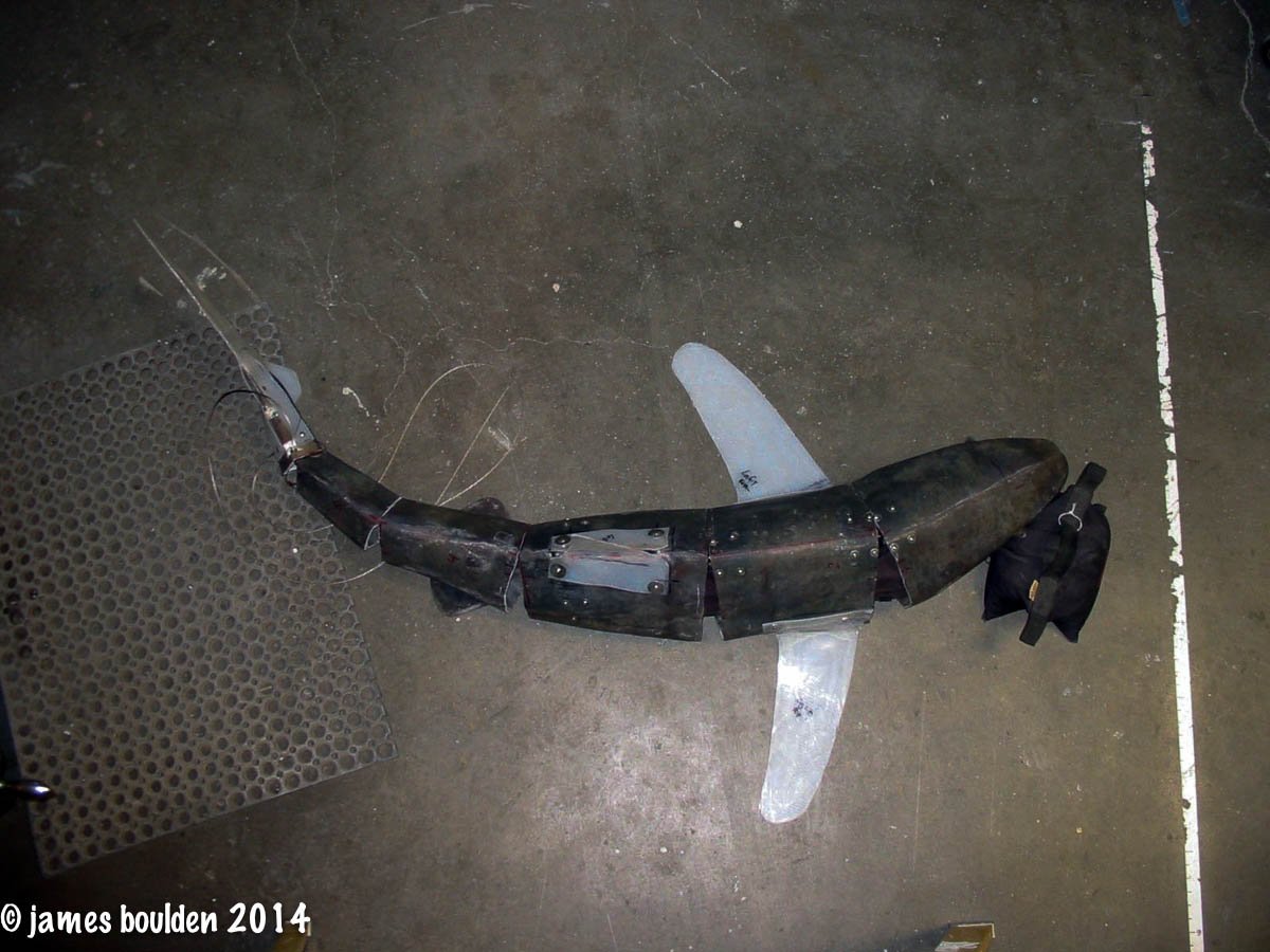 shark_3554_2_3283__87851.jpg