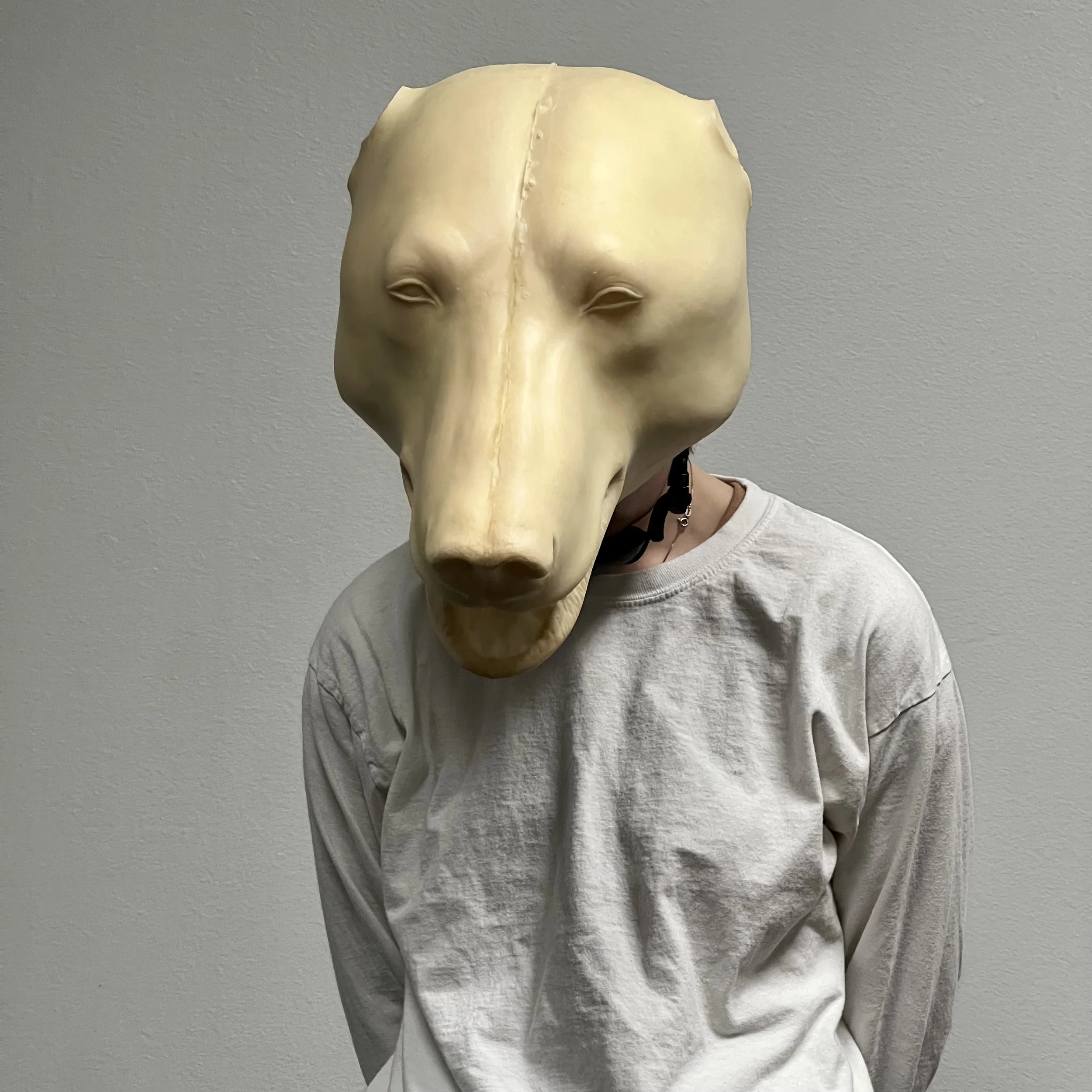 Bear Costume Head mounted onto a comfortable skater helmet