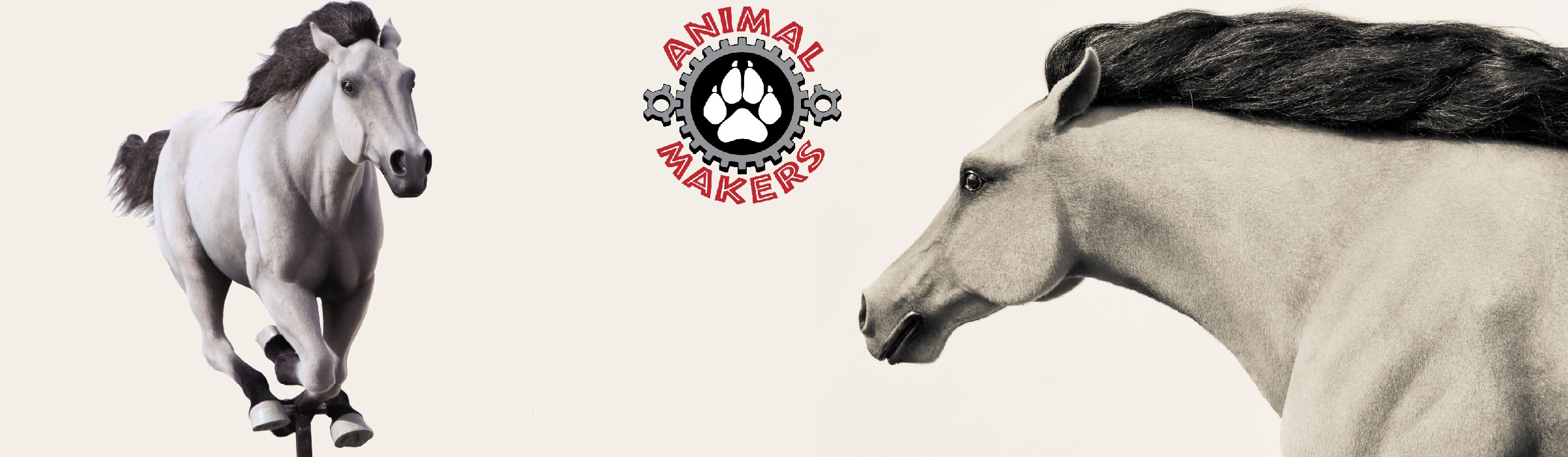 horses__08374.jpg