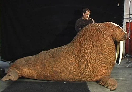 Pacific Walrus Art Production Package Set