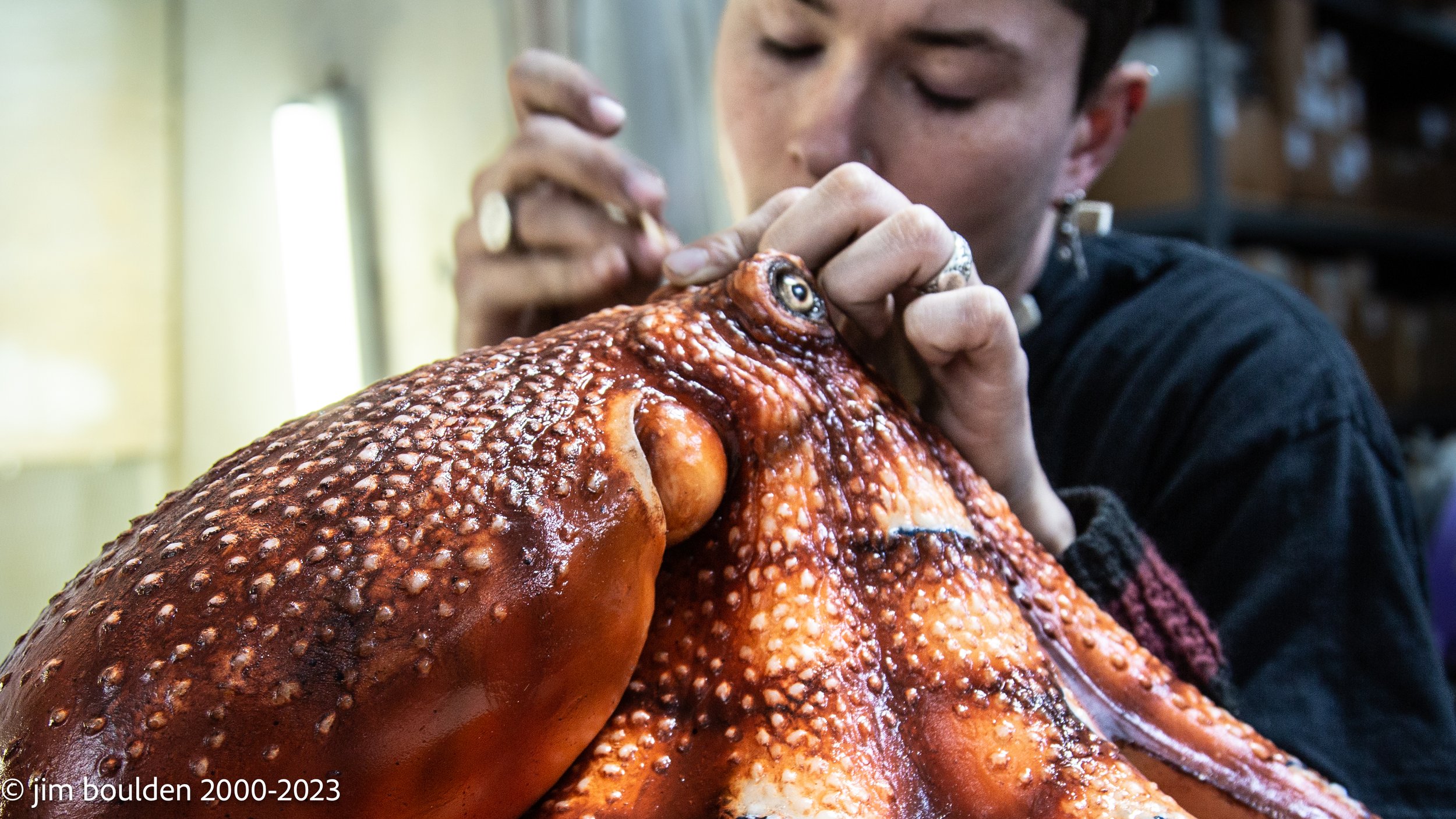 art-dept-octopus.jpg