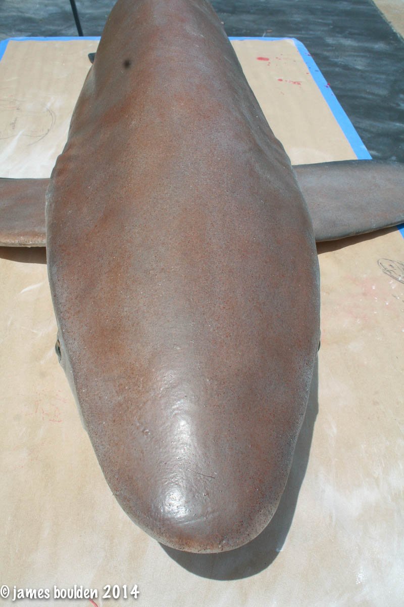 shark_3554_4661__05744.jpg