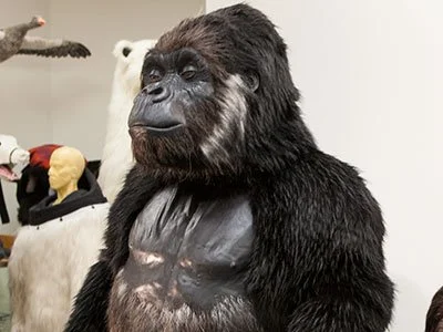 Gorilla Costume by Animal Makers