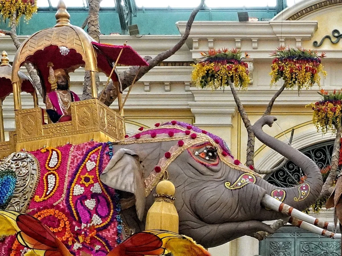 elephant-display.original.jpg