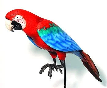 macaw-1966-01.jpg