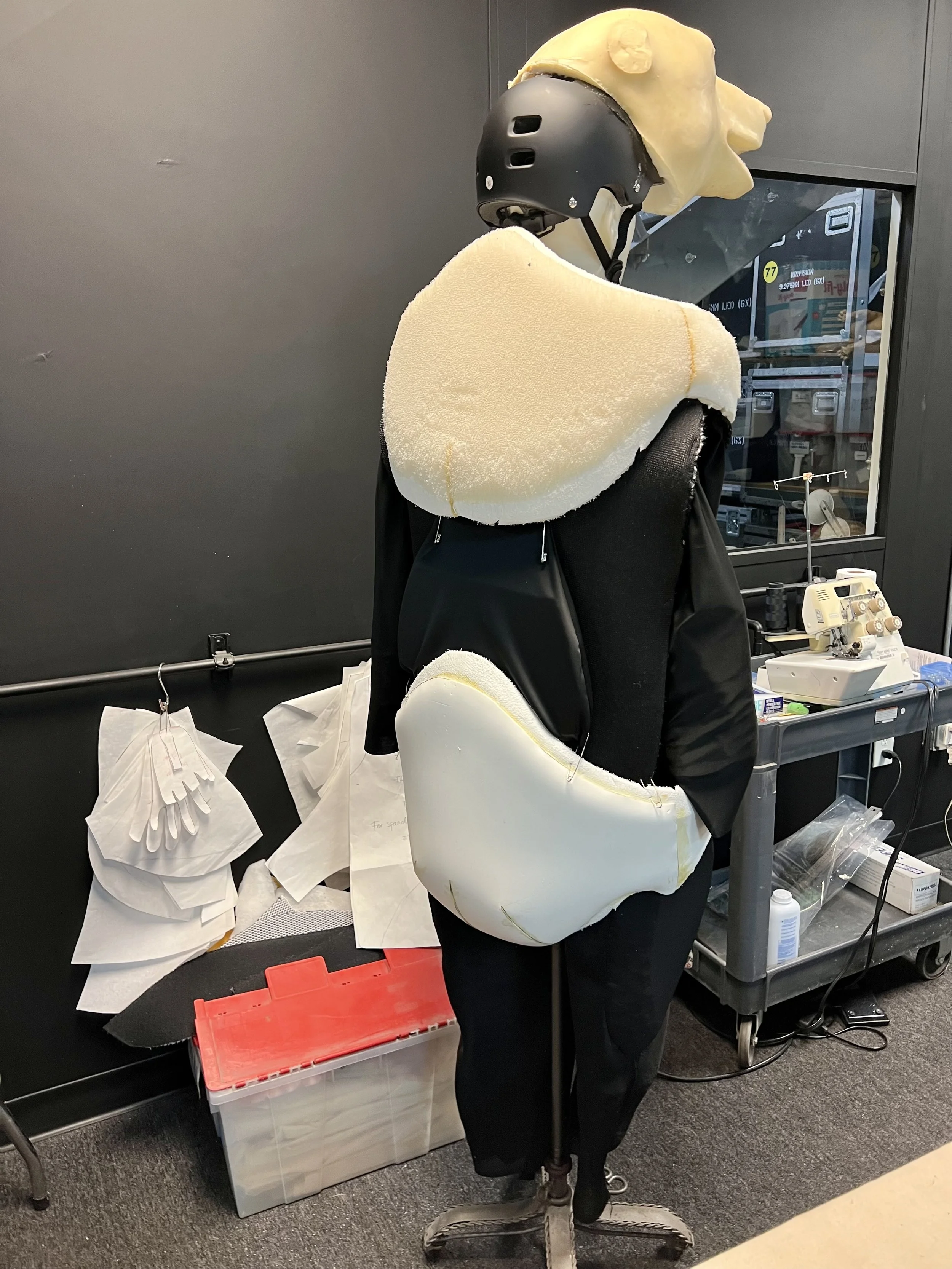 Latex and polyfoam realistic Bear face with neck and body forms in place