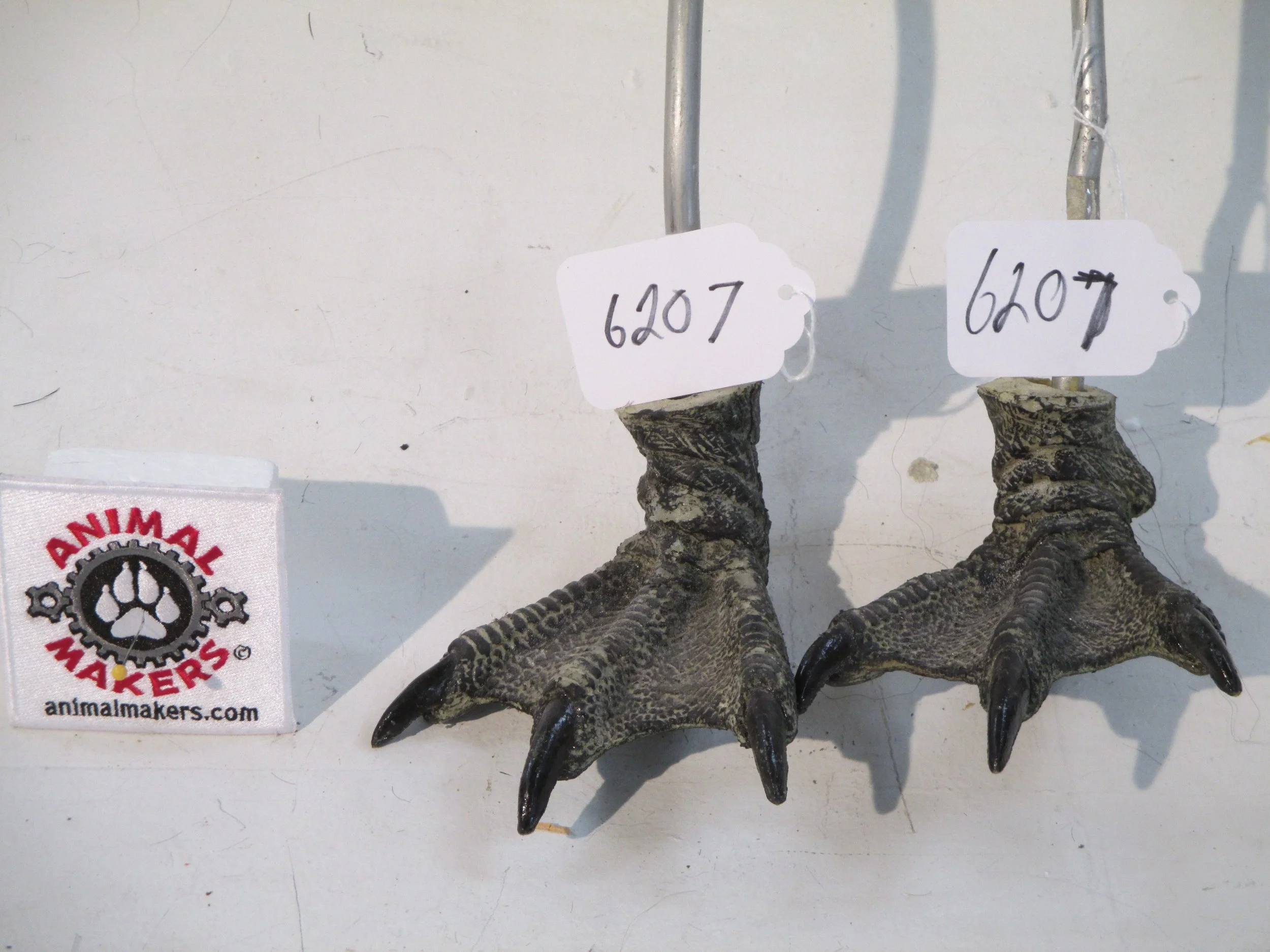 6207 bird feet.JPG