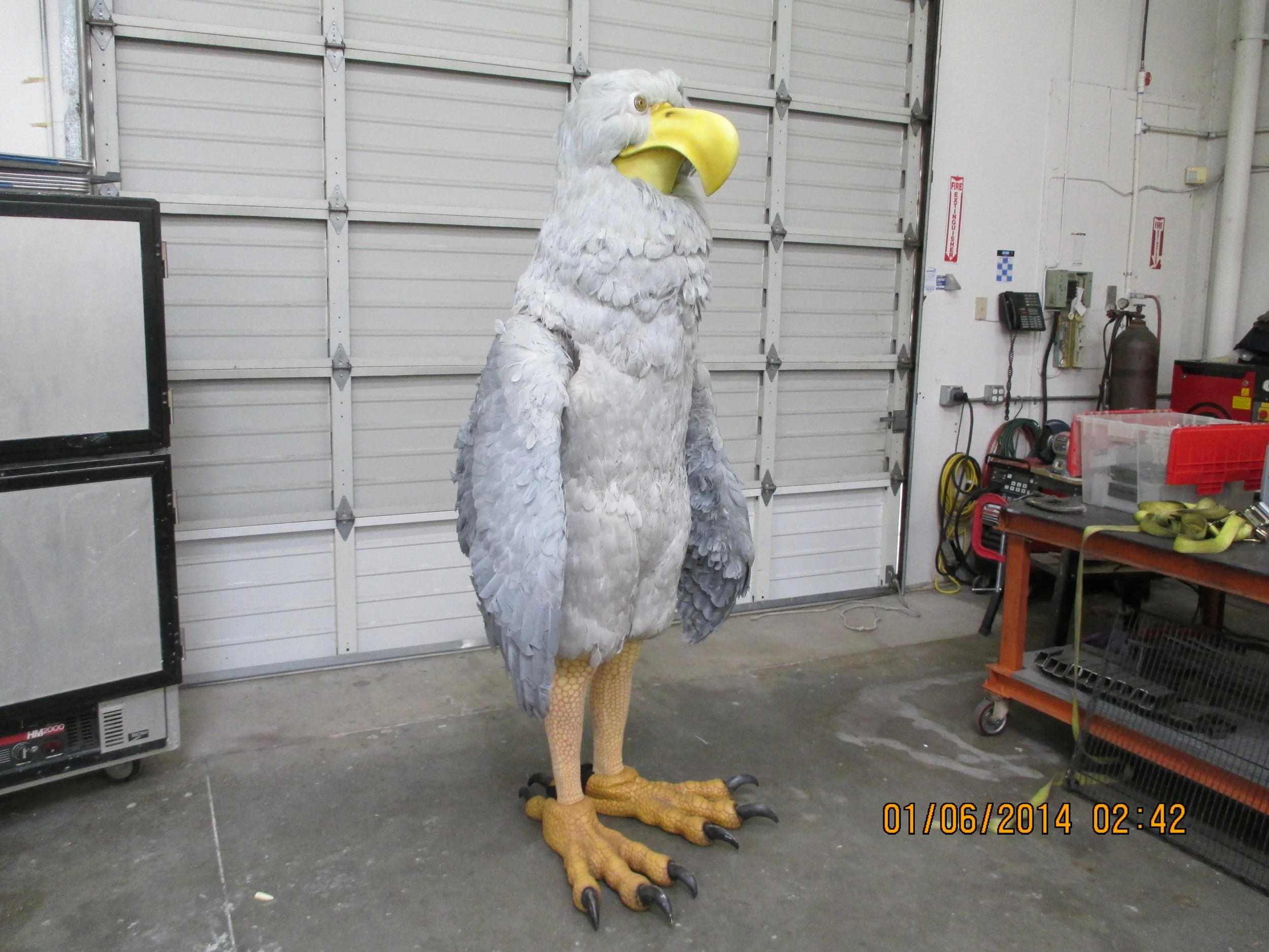 6002 eagle suit side.JPG