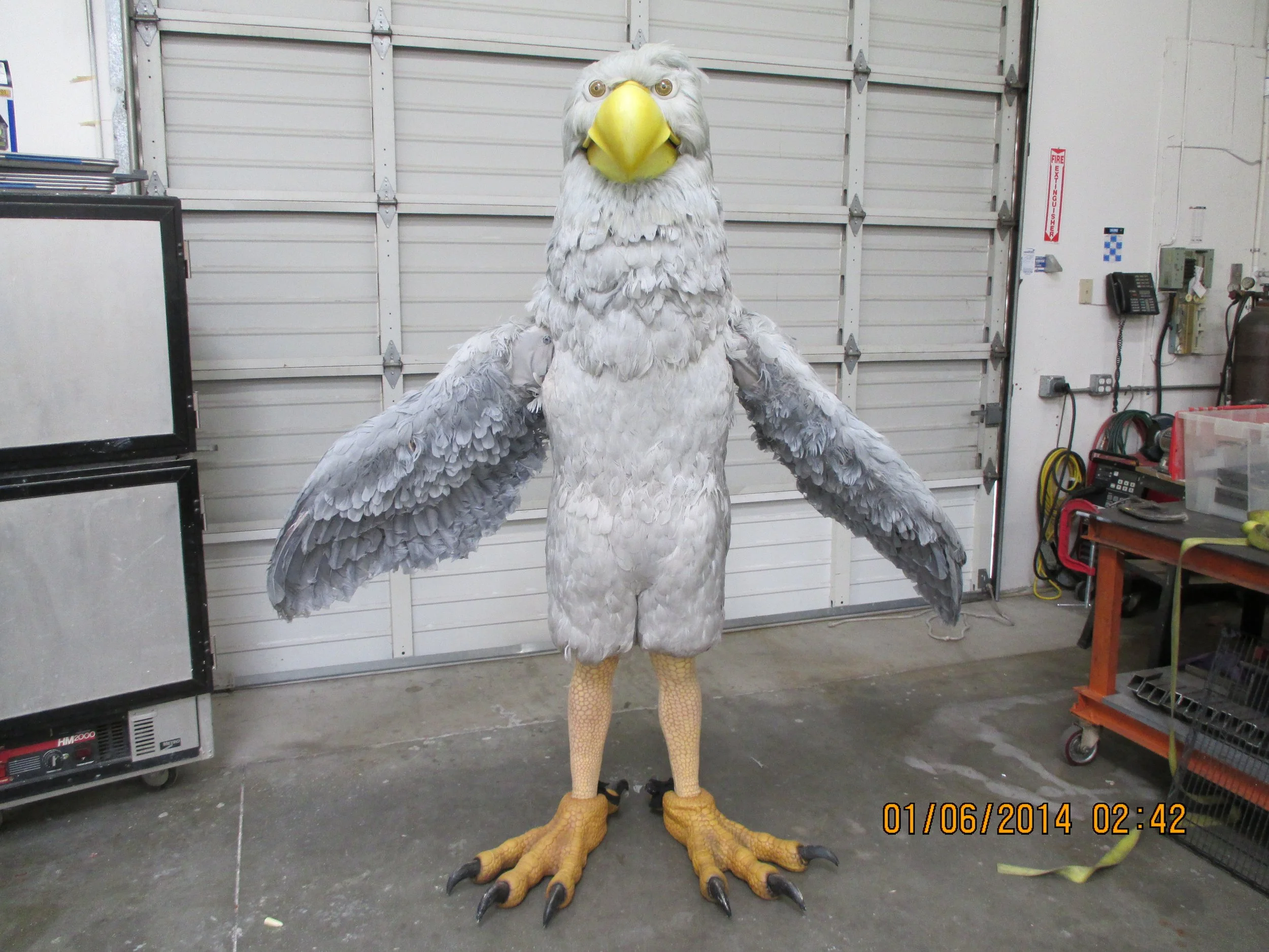 6002 eagle suit.JPG