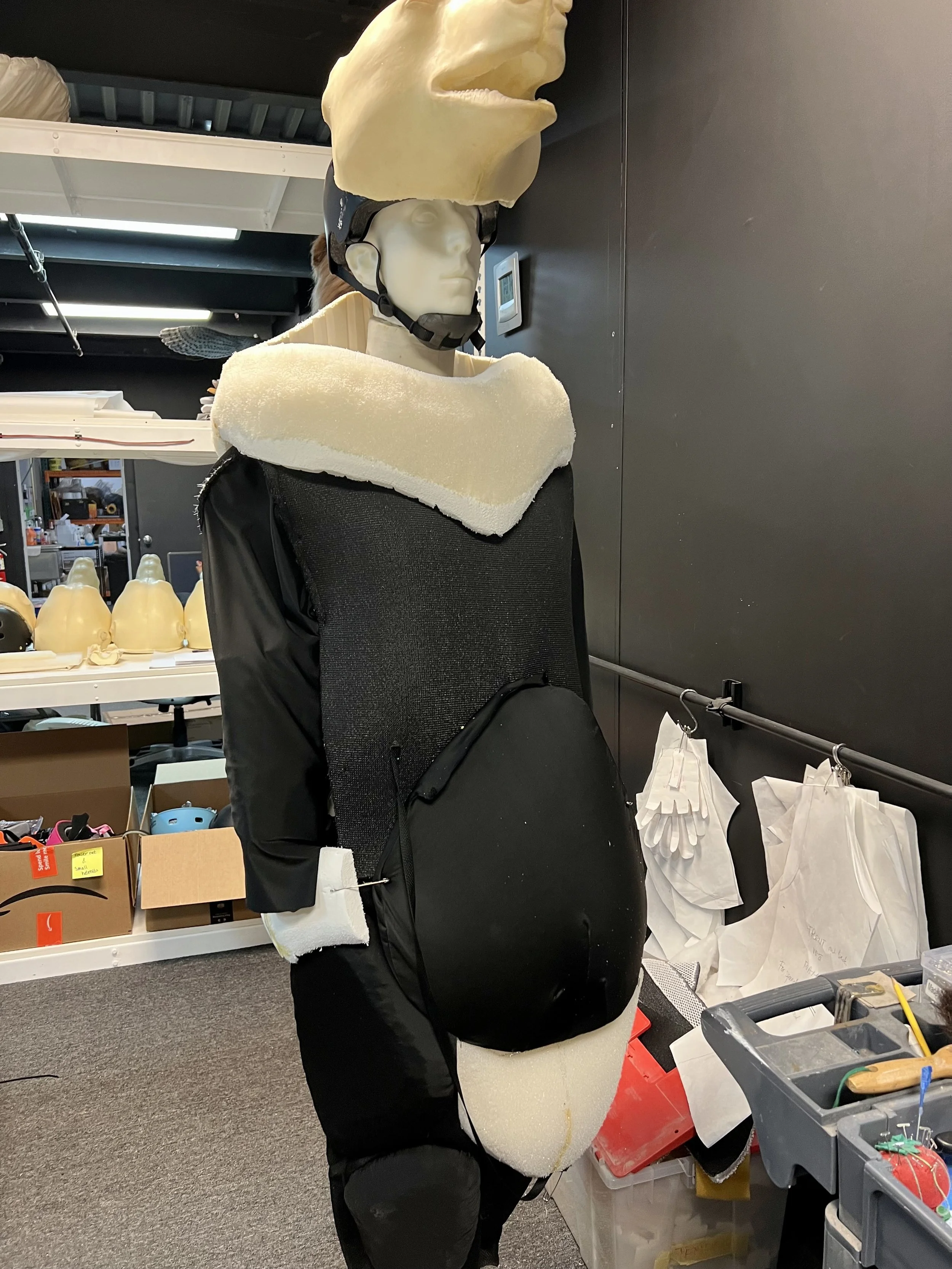 Latex and polyfoam realistic Bear face with neck and body forms in place