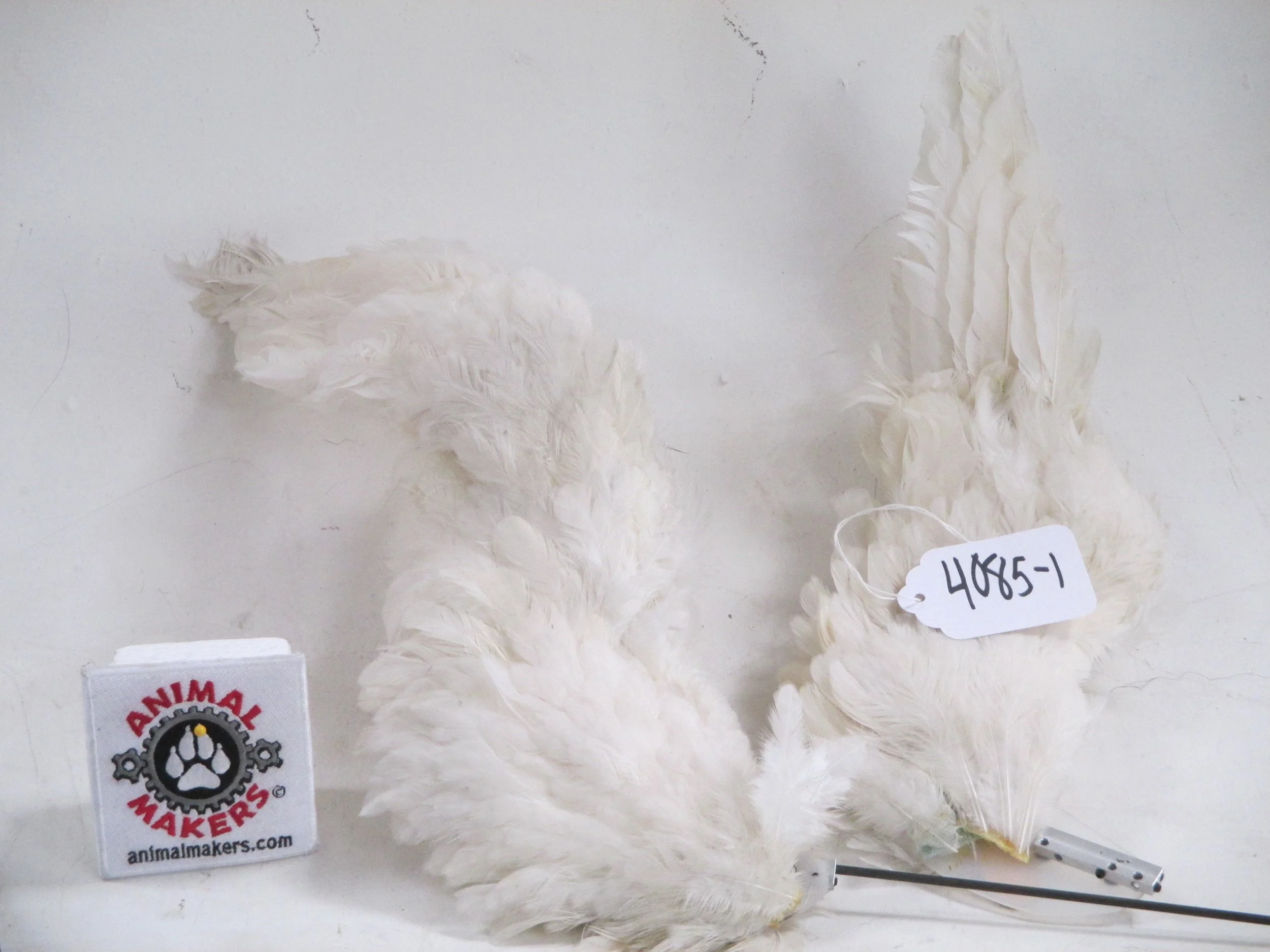 4085-1 bird wings.JPG