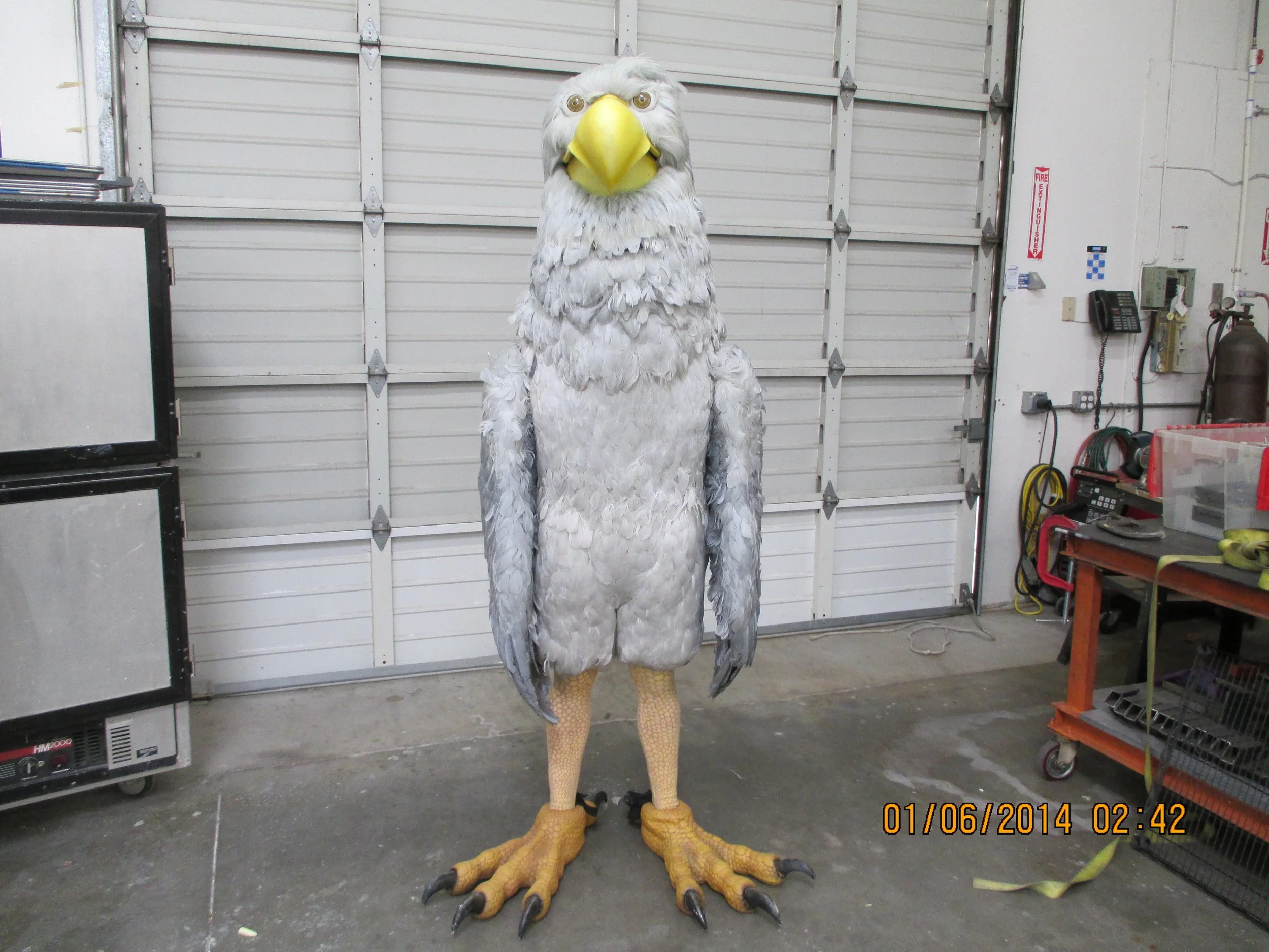 6002 eagle suit2.JPG
