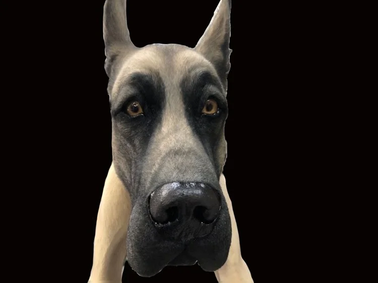 Movie Dog Replica Mastiff Great Dane