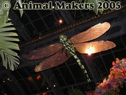 OVERSCALE, ANIMATRONIC DRAGONFLY DISPLAY